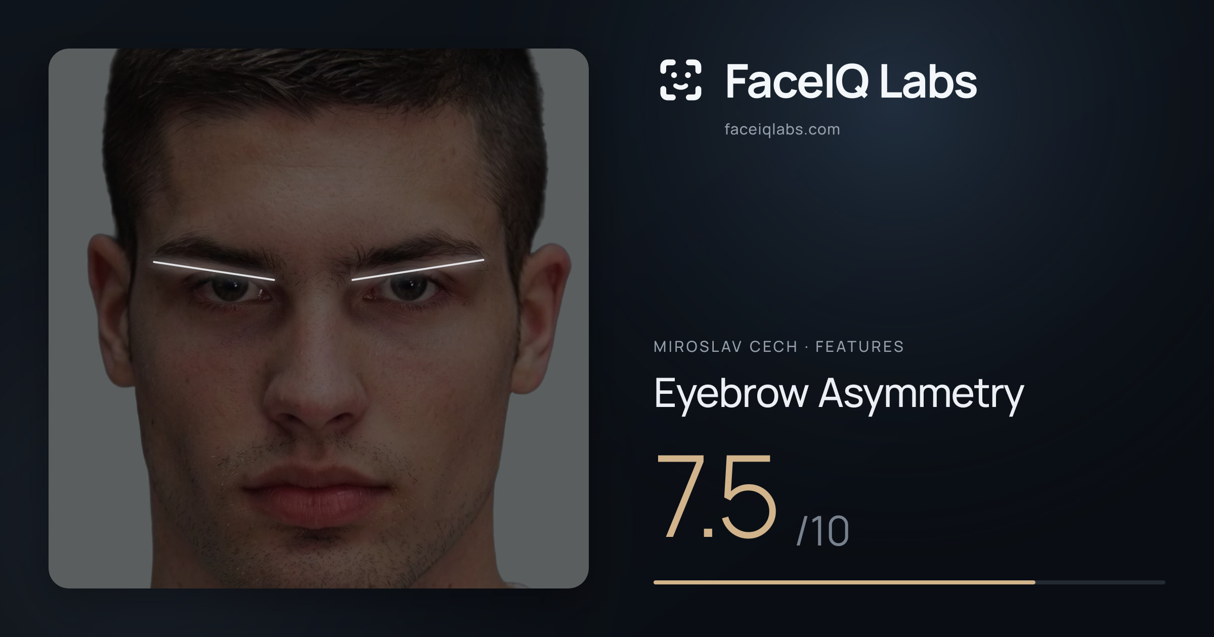 Miroslav Cech Eyebrow Asymmetry: 7.5/10, drawn on the photo