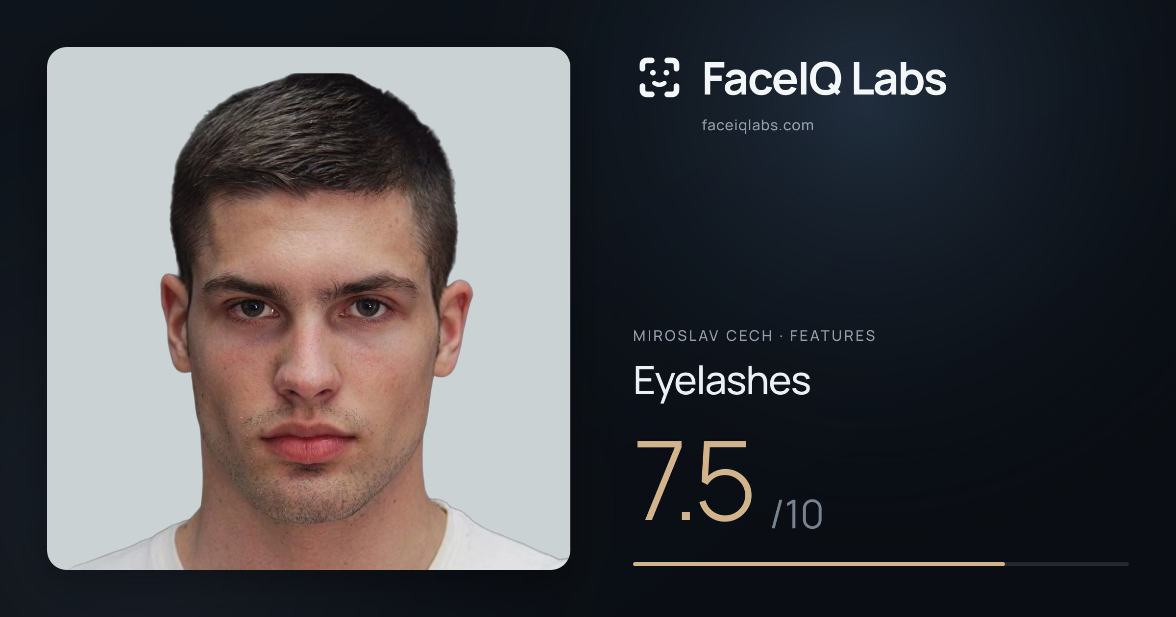 Miroslav Cech Eyelashes: 7.5/10, drawn on the photo