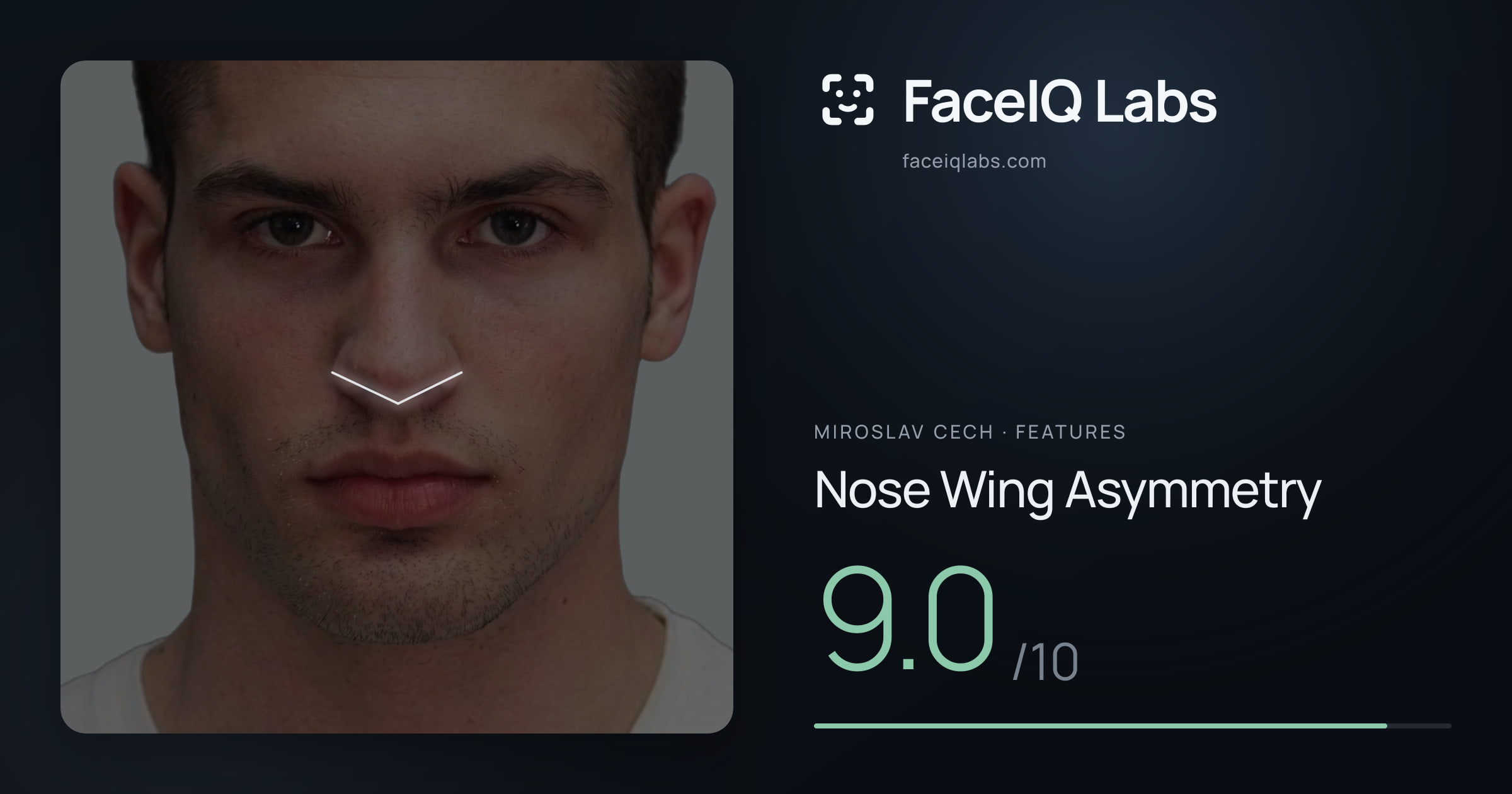 Miroslav Cech Nose Wing Asymmetry: 9.0/10, drawn on the photo