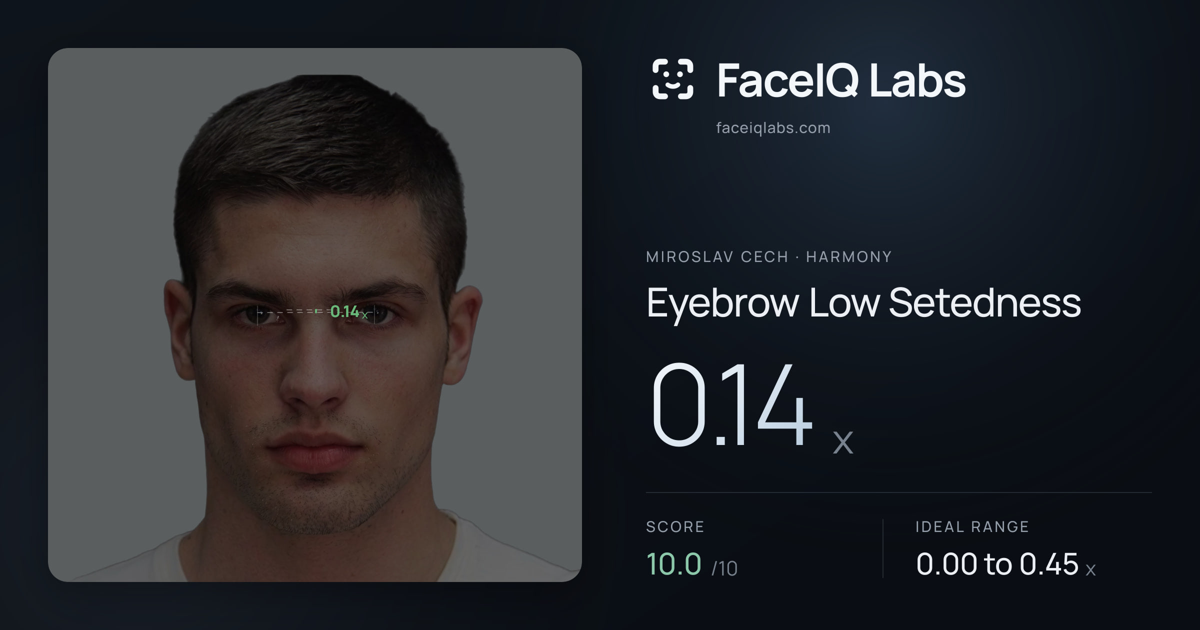 Miroslav Cech Eyebrow Low Setedness: 0.14x, drawn on the photo