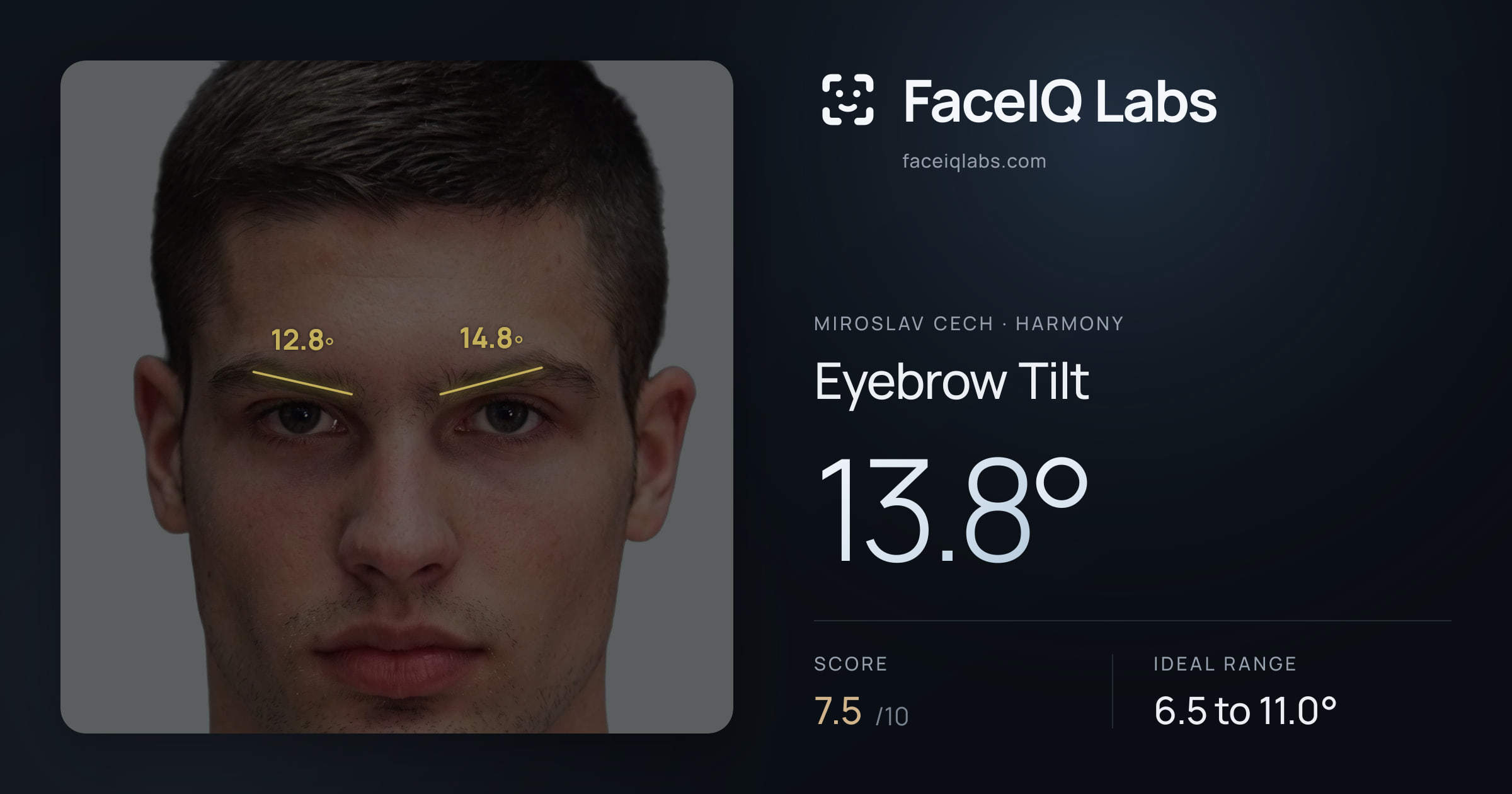 Miroslav Cech Eyebrow Tilt: 13.8°, drawn on the photo