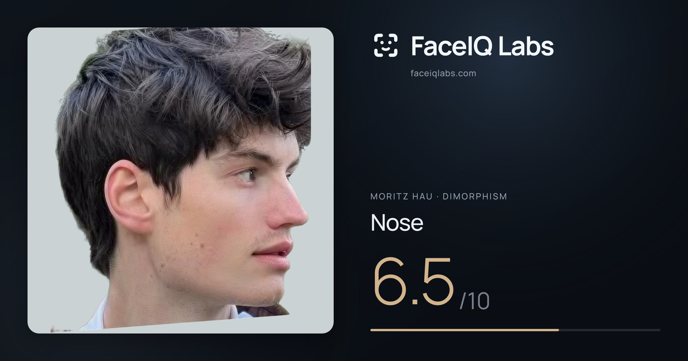 Moritz Hau Nose: 6.5/10, drawn on the photo
