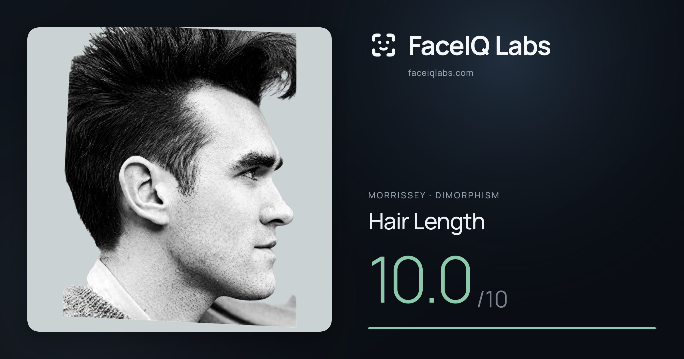 Morrissey Hair Length: 10.0/10, drawn on the photo