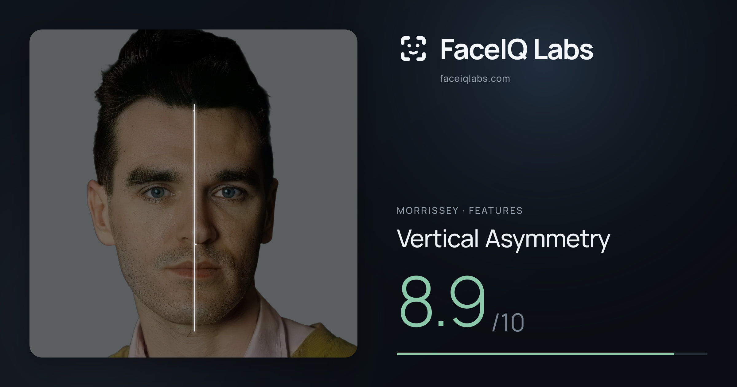 Morrissey Vertical Asymmetry: 8.9/10, drawn on the photo