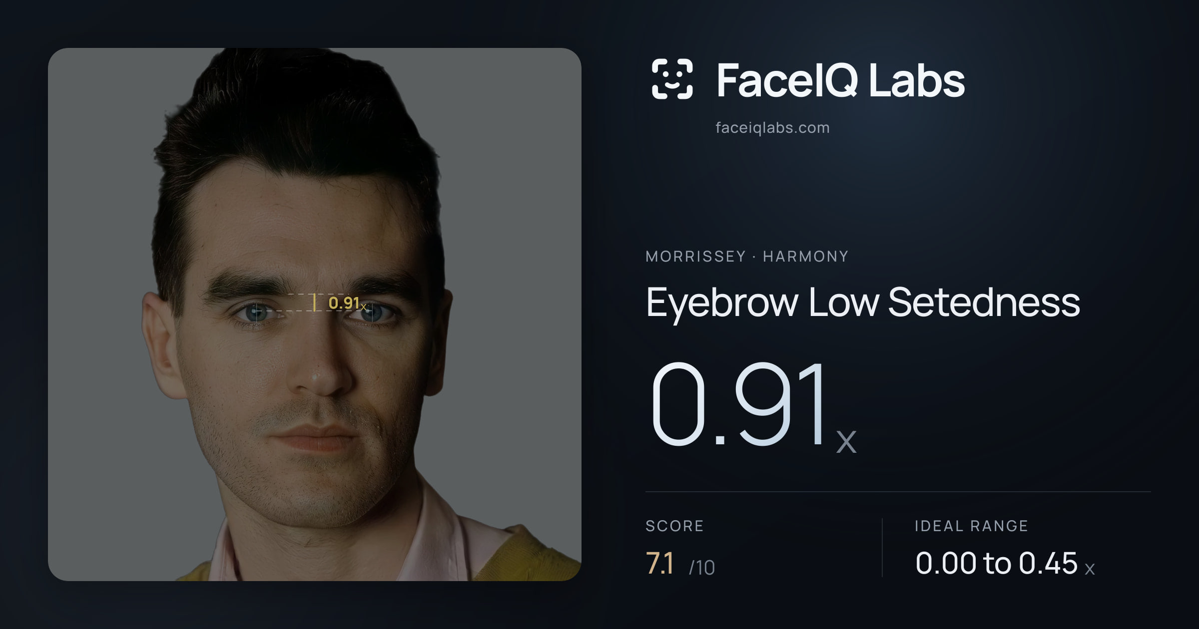 Morrissey Eyebrow Low Setedness: 0.91x, drawn on the photo