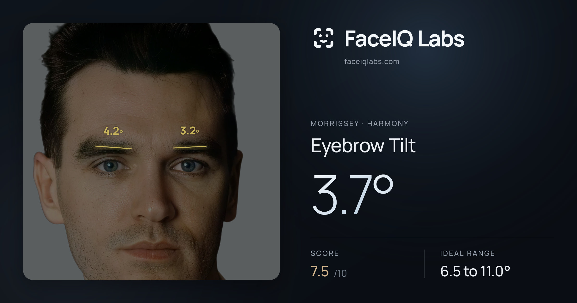 Morrissey Eyebrow Tilt: 3.7°, drawn on the photo