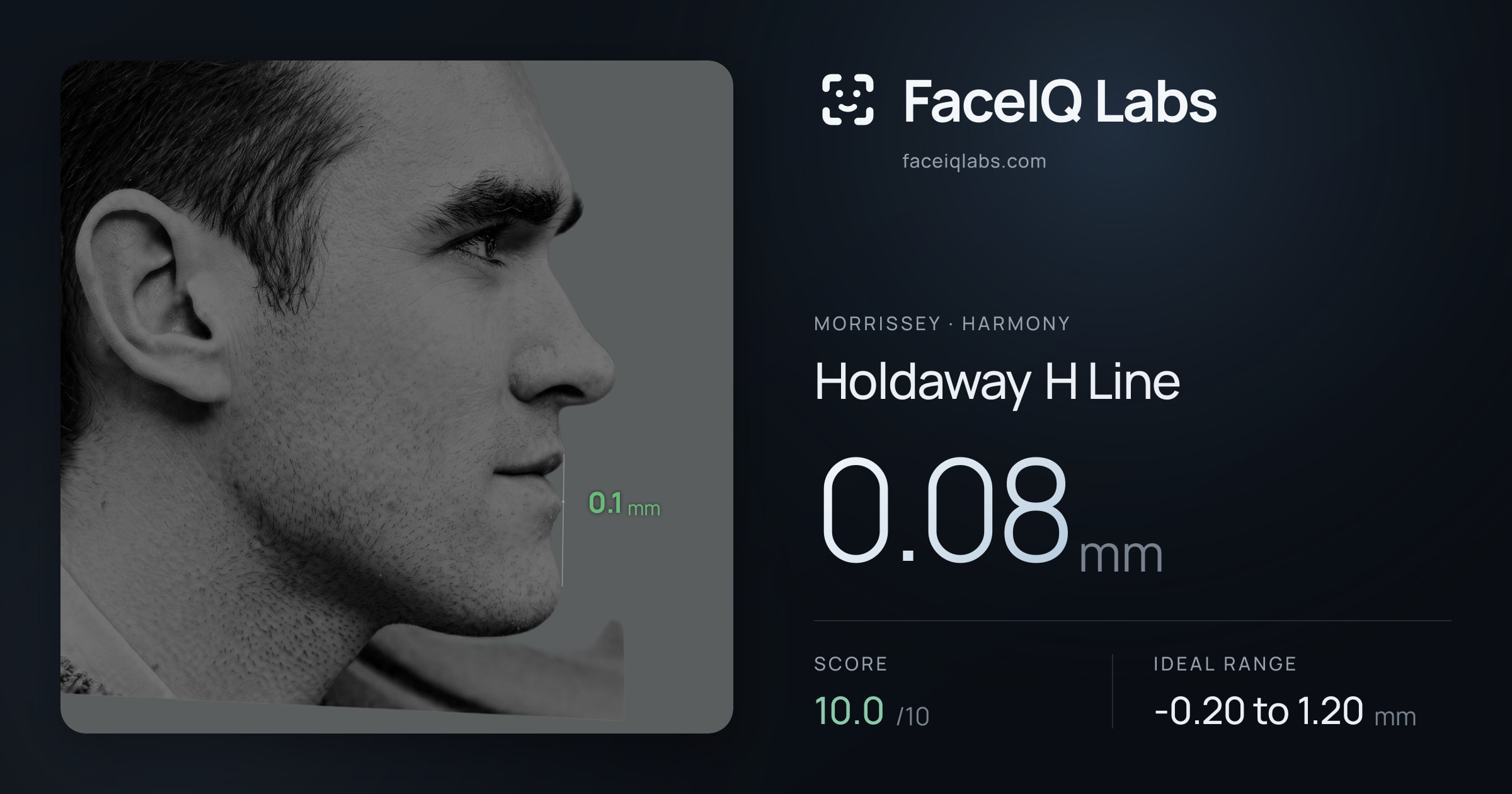 Morrissey Holdaway H Line: 0.08mm, drawn on the photo