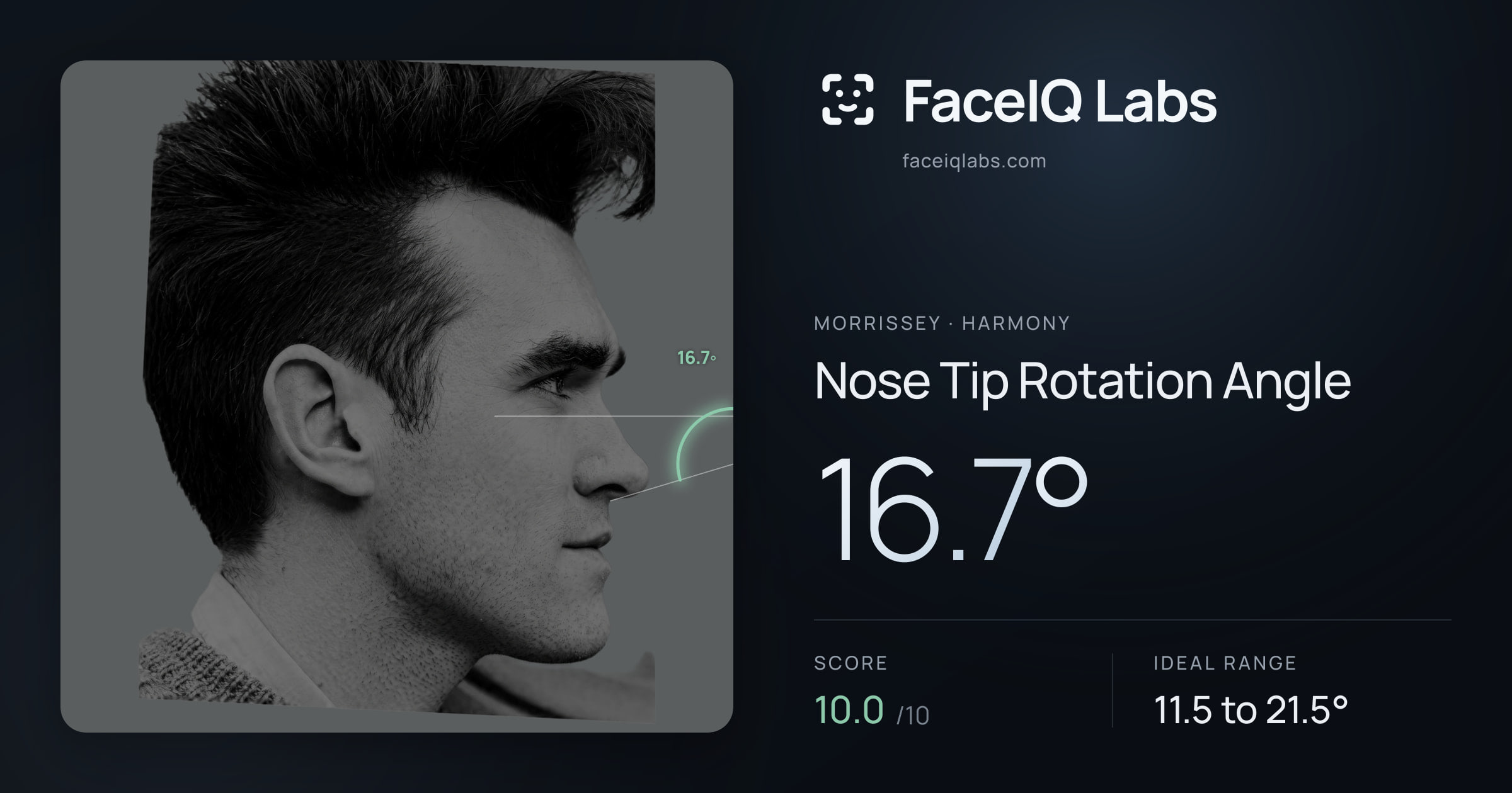 Morrissey Nose Tip Rotation Angle: 16.7°, drawn on the photo