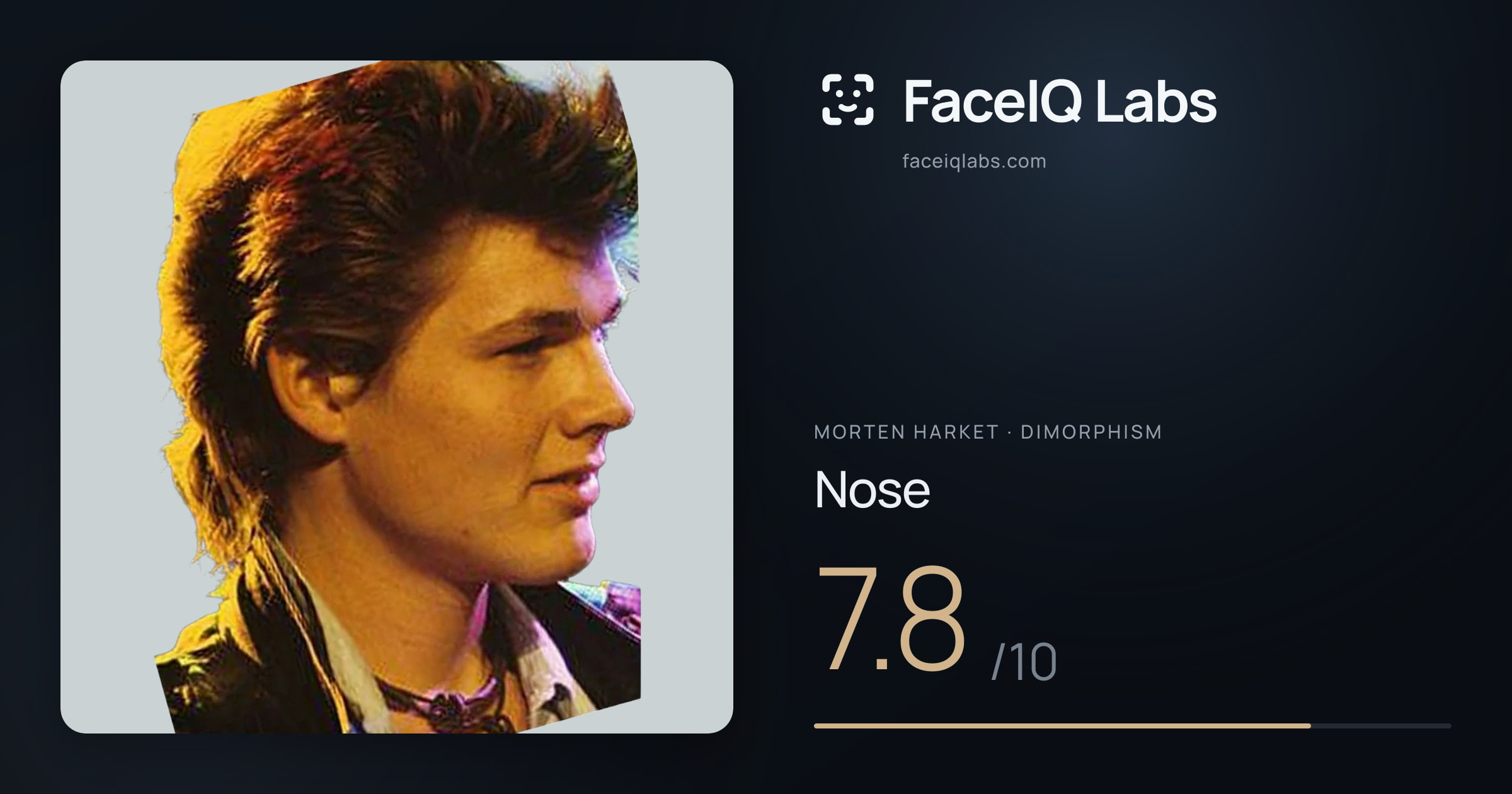 Morten Harket Nose: 7.8/10, drawn on the photo