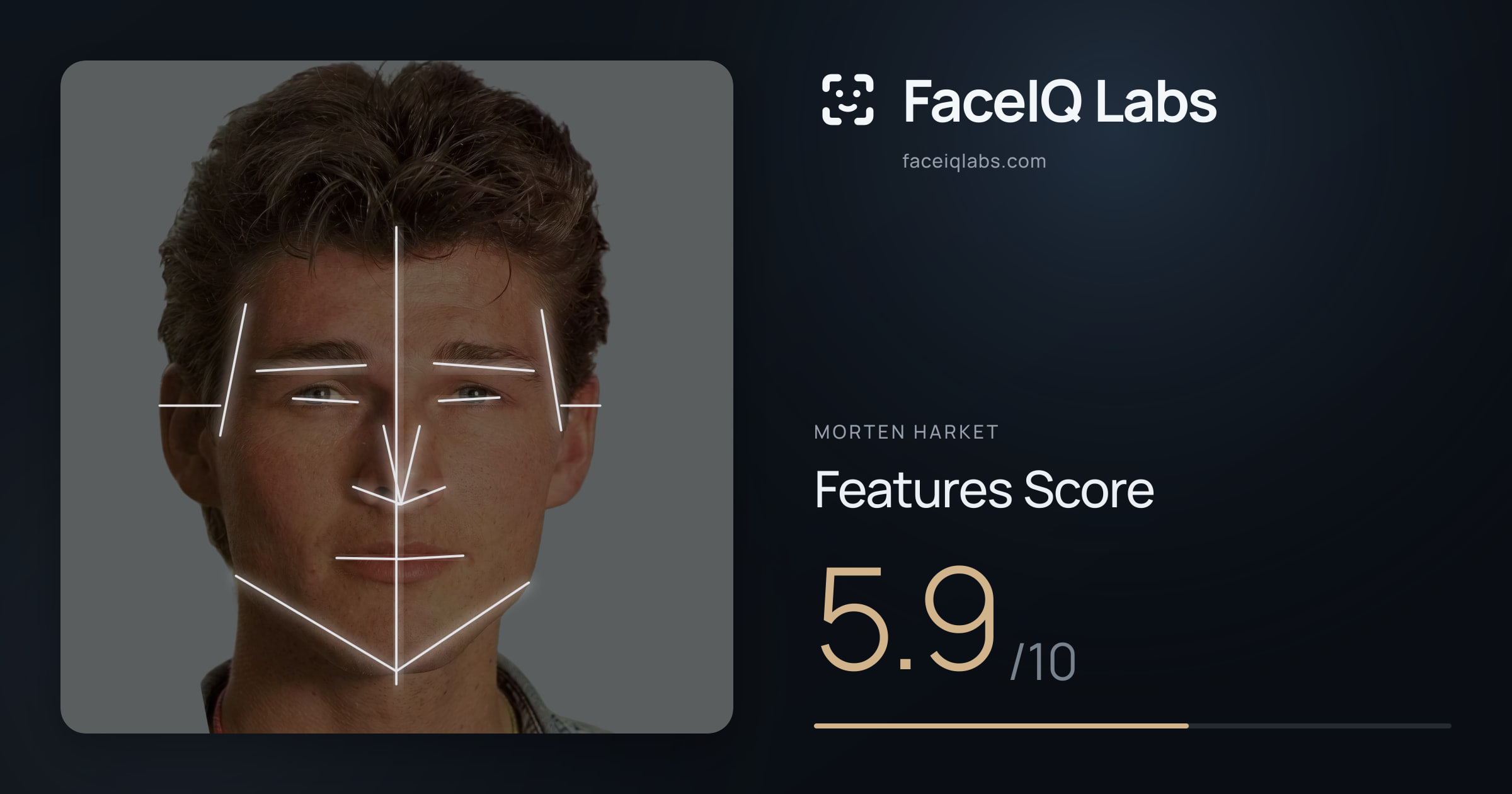 Morten Harket Features: 5.9/10, with each assessment drawn on the photo