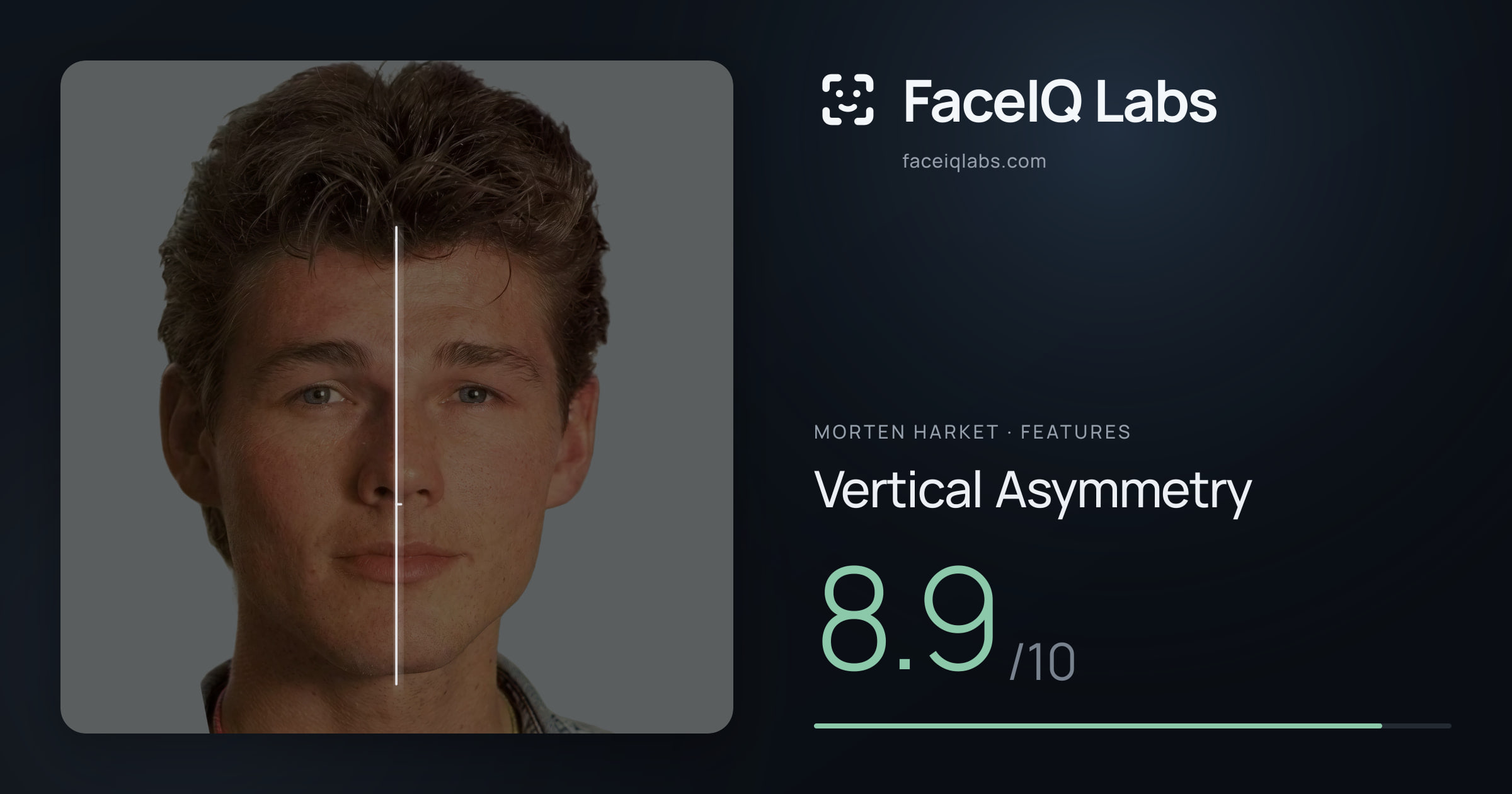 Morten Harket Vertical Asymmetry: 8.9/10, drawn on the photo