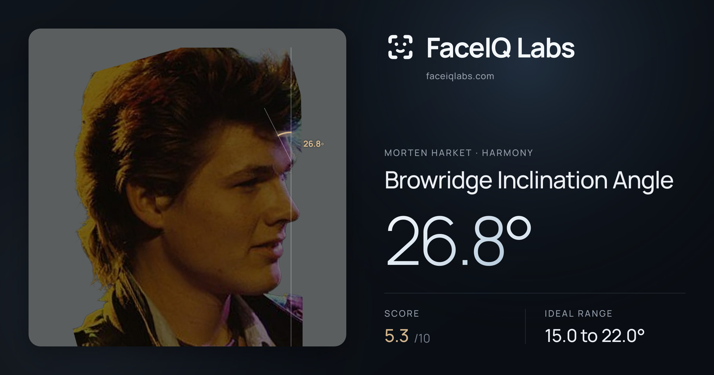 Morten Harket Browridge Inclination Angle: 26.8°, drawn on the photo
