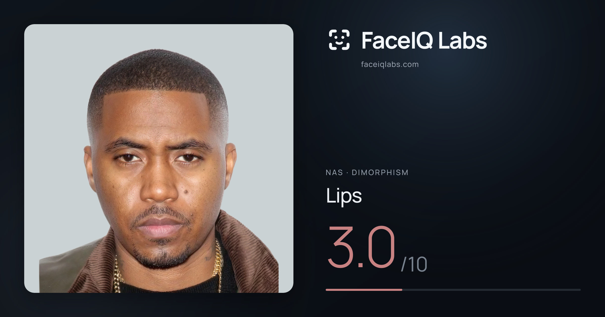 Nas Lips: 3.0/10, drawn on the photo