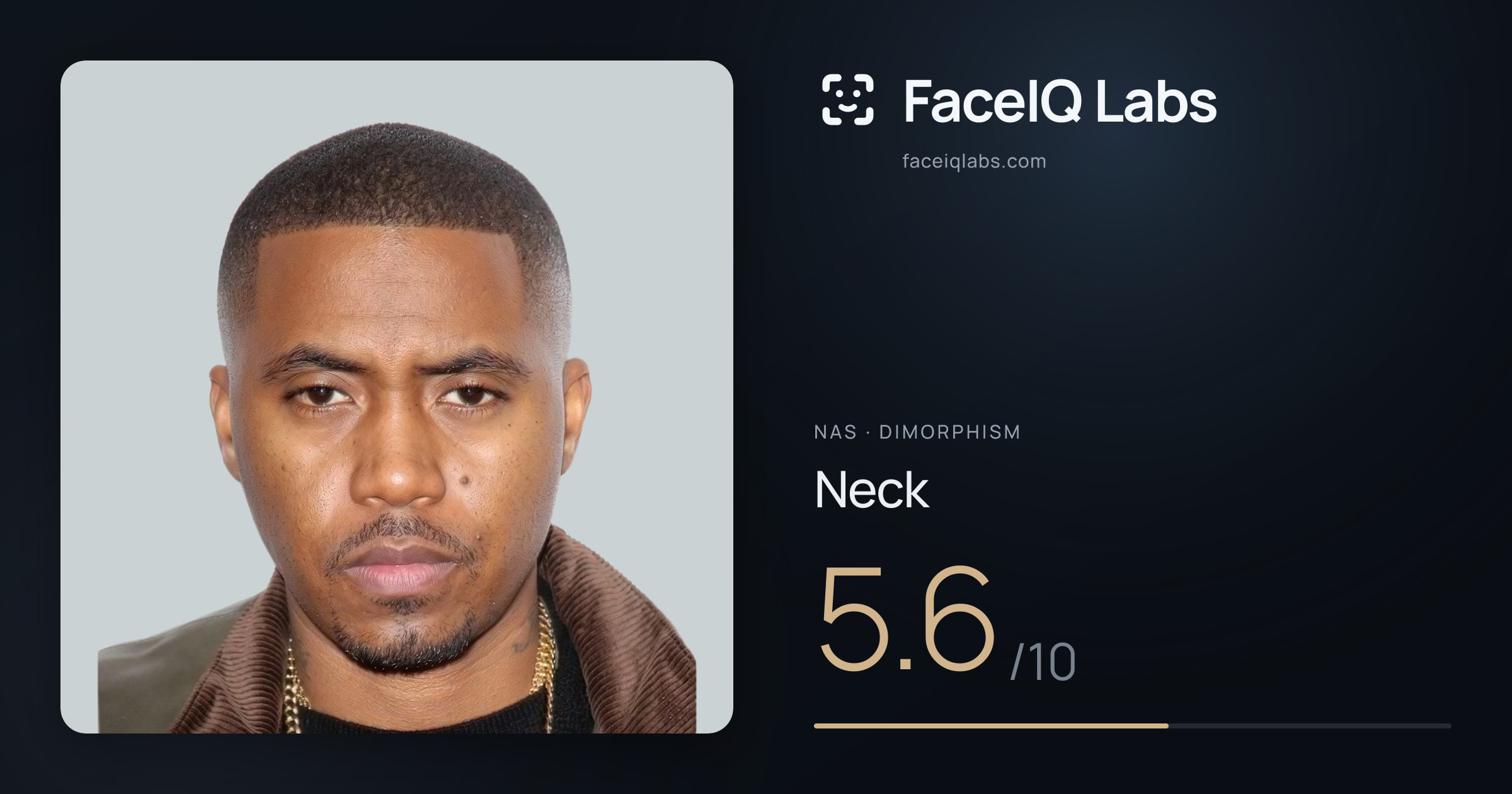 Nas Neck: 5.6/10, drawn on the photo