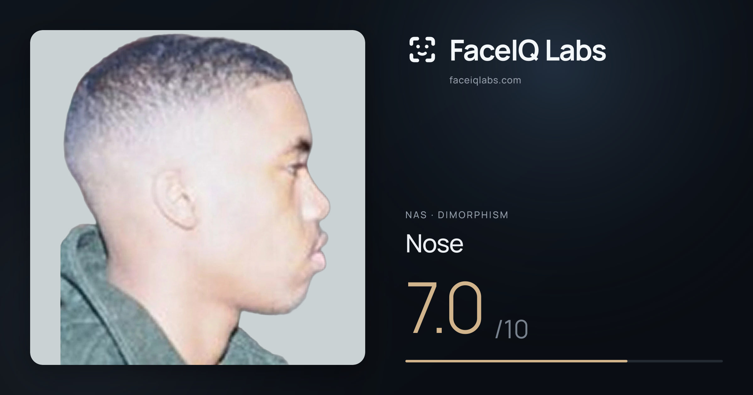 Nas Nose: 7.0/10, drawn on the photo