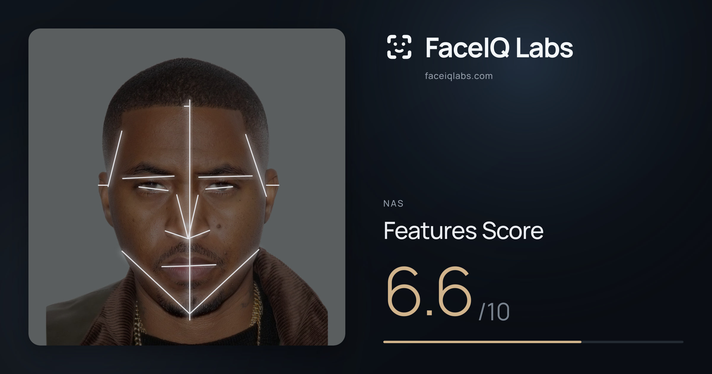 Nas Features: 6.6/10, with each assessment drawn on the photo