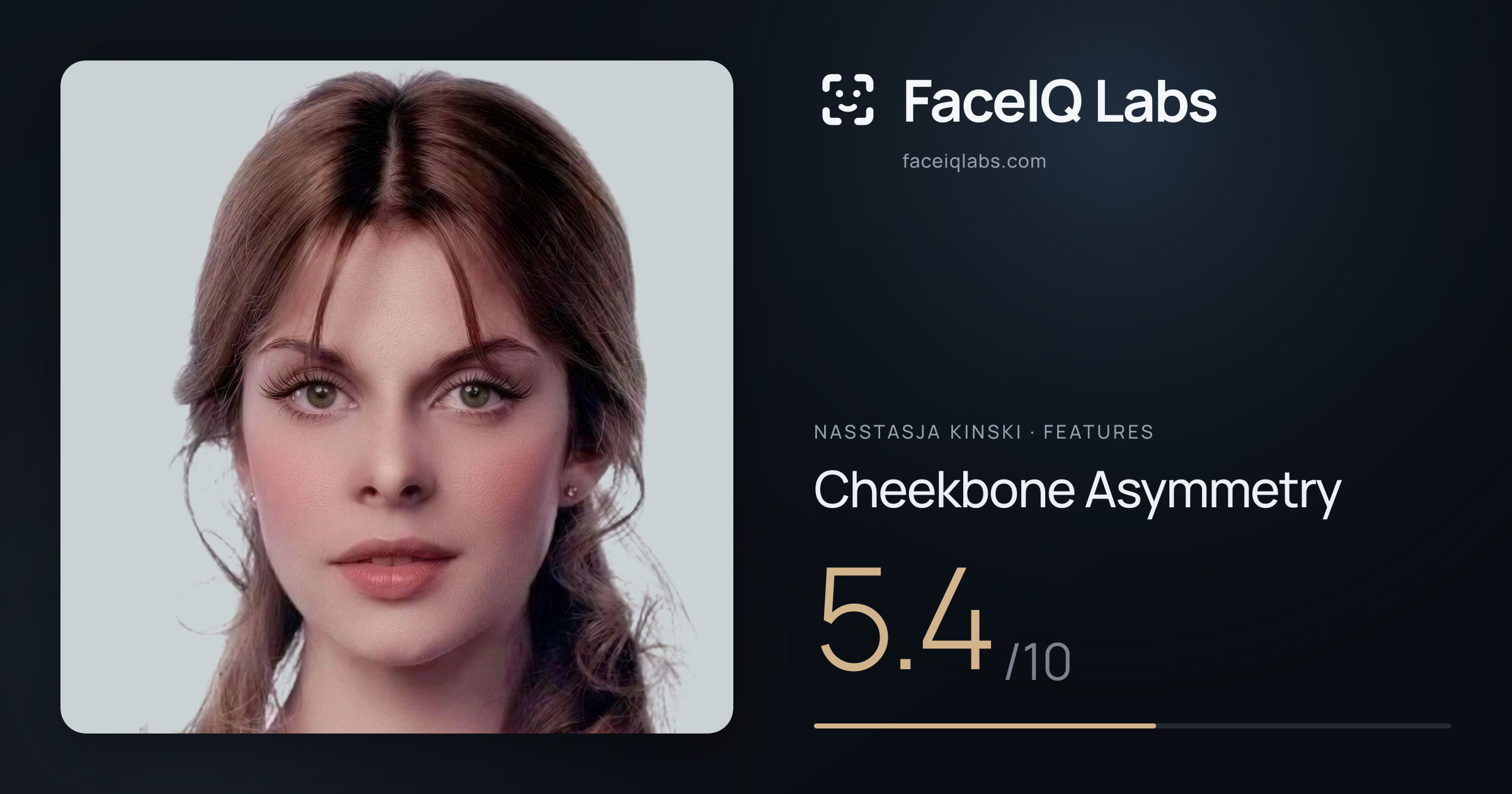 Nasstasja Kinski Cheekbone Asymmetry: 5.4/10, drawn on the photo