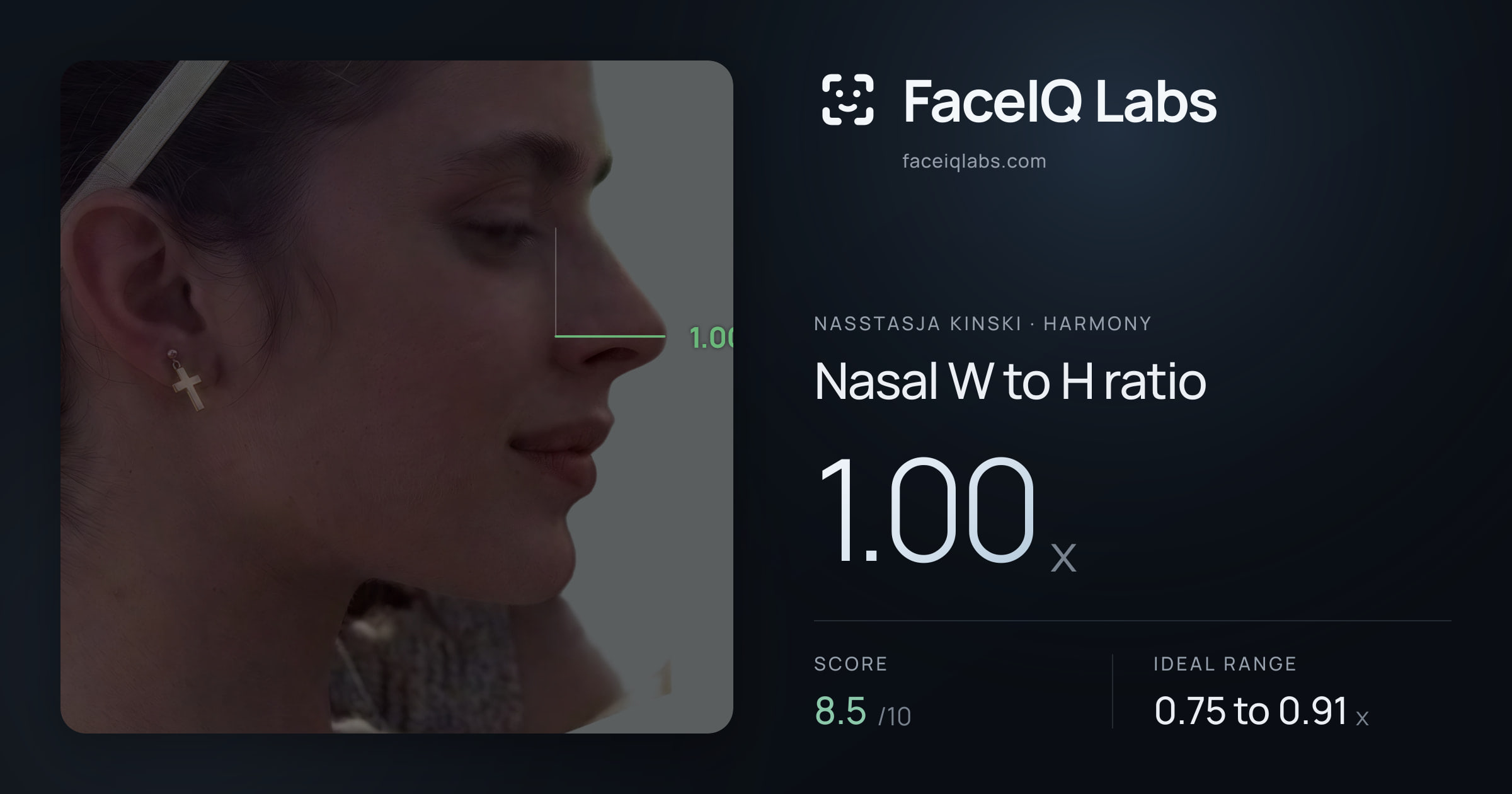 Nasstasja Kinski Nasal W to H ratio: 1.00x, drawn on the photo