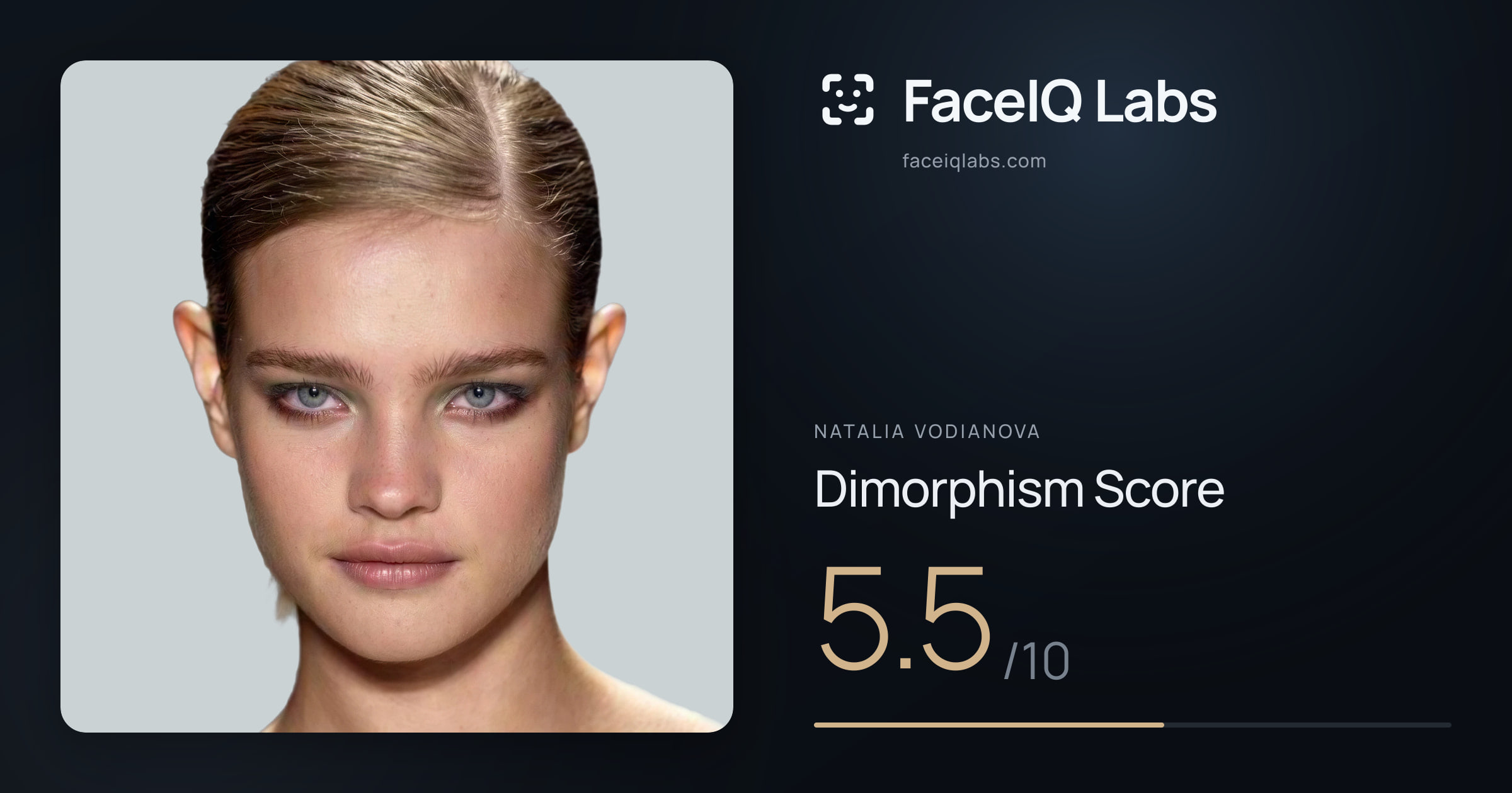 Natalia Vodianova Dimorphism: 5.5/10, with each assessment drawn on the photo