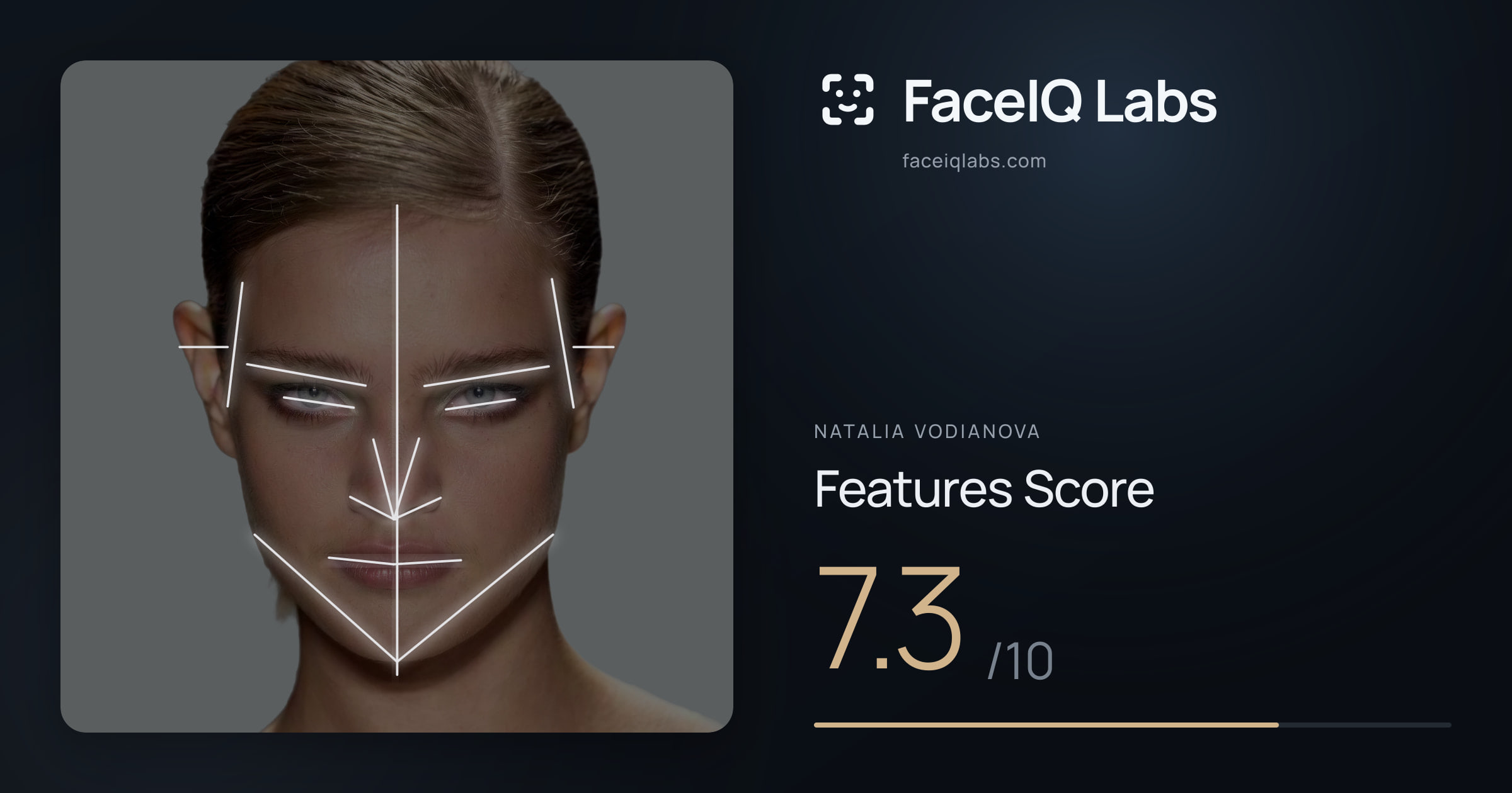 Natalia Vodianova Features: 7.3/10, with each assessment drawn on the photo