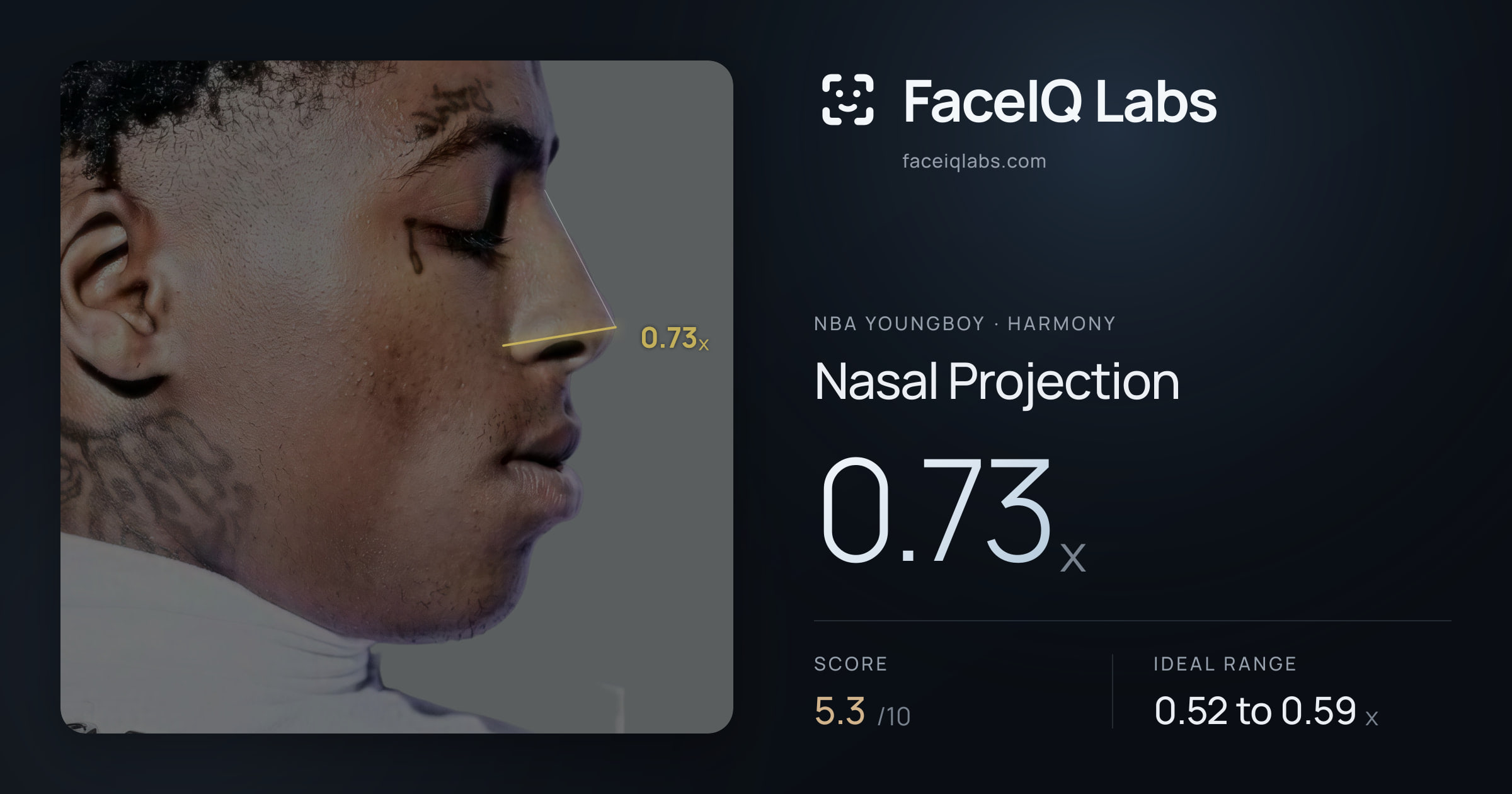 NBA YoungBoy Nasal Projection: 0.73x, drawn on the photo