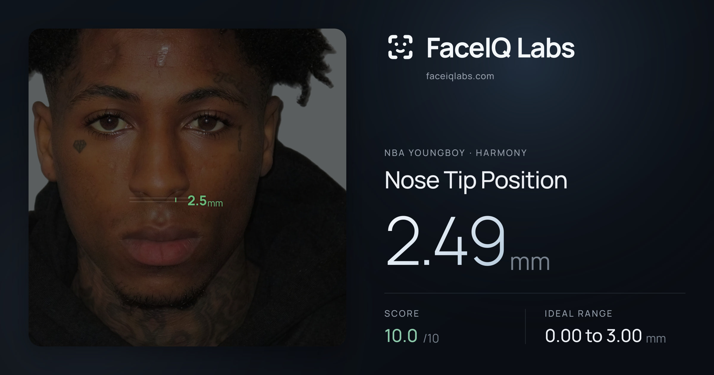 NBA YoungBoy Nose Tip Position: 2.49mm, drawn on the photo