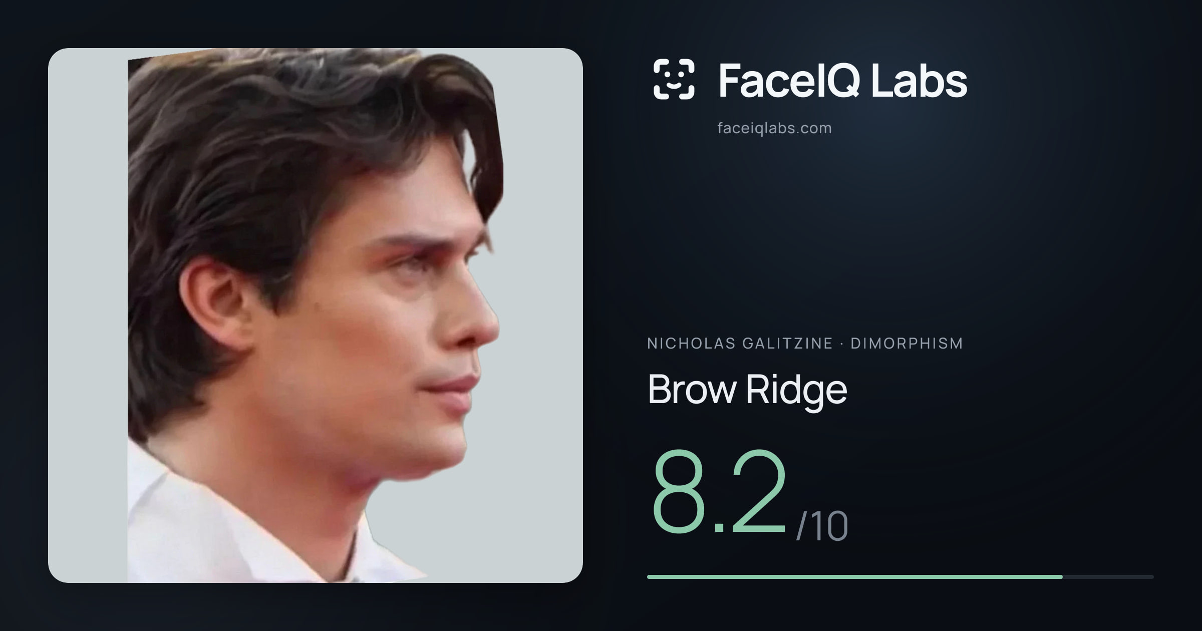 Nicholas Galitzine Brow Ridge: 8.2/10, drawn on the photo