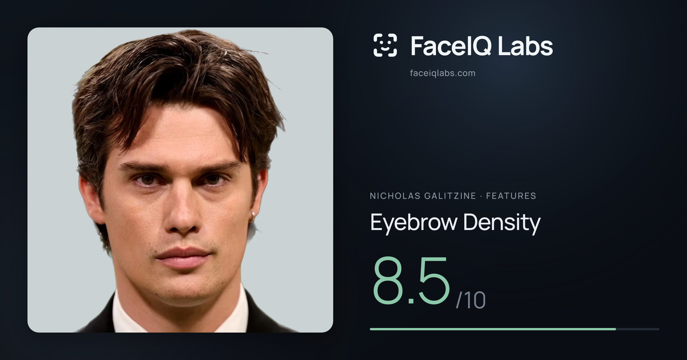 Nicholas Galitzine Eyebrow Density: 8.5/10, drawn on the photo