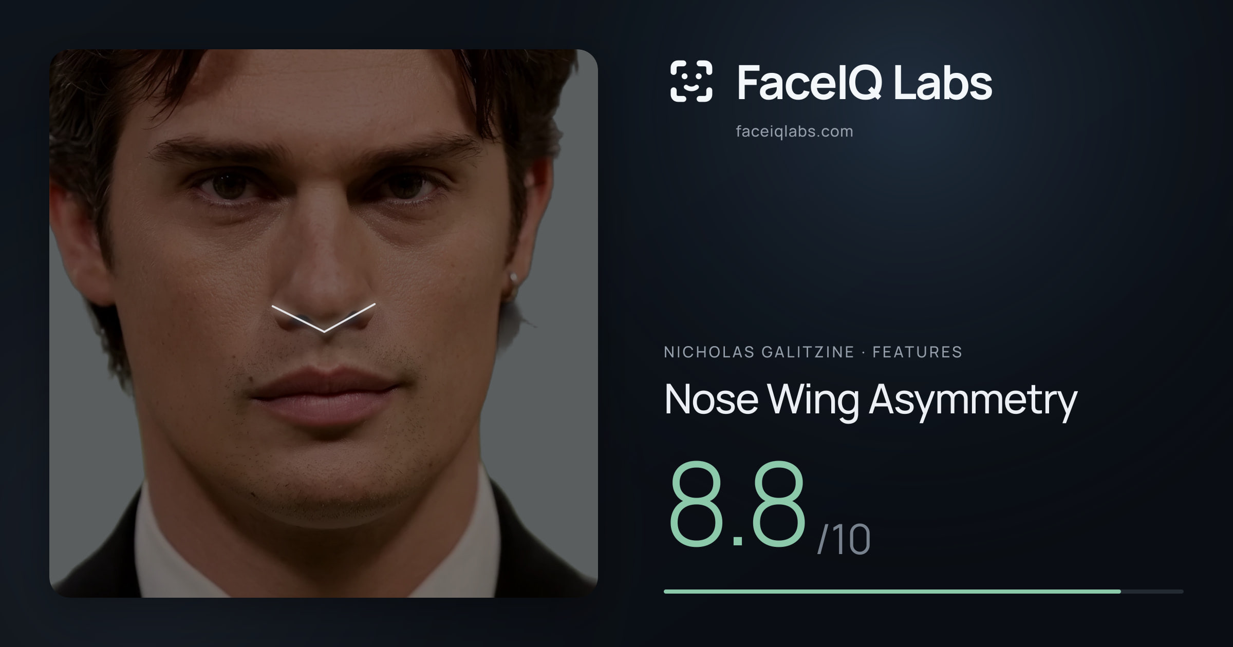 Nicholas Galitzine Nose Wing Asymmetry: 8.8/10, drawn on the photo