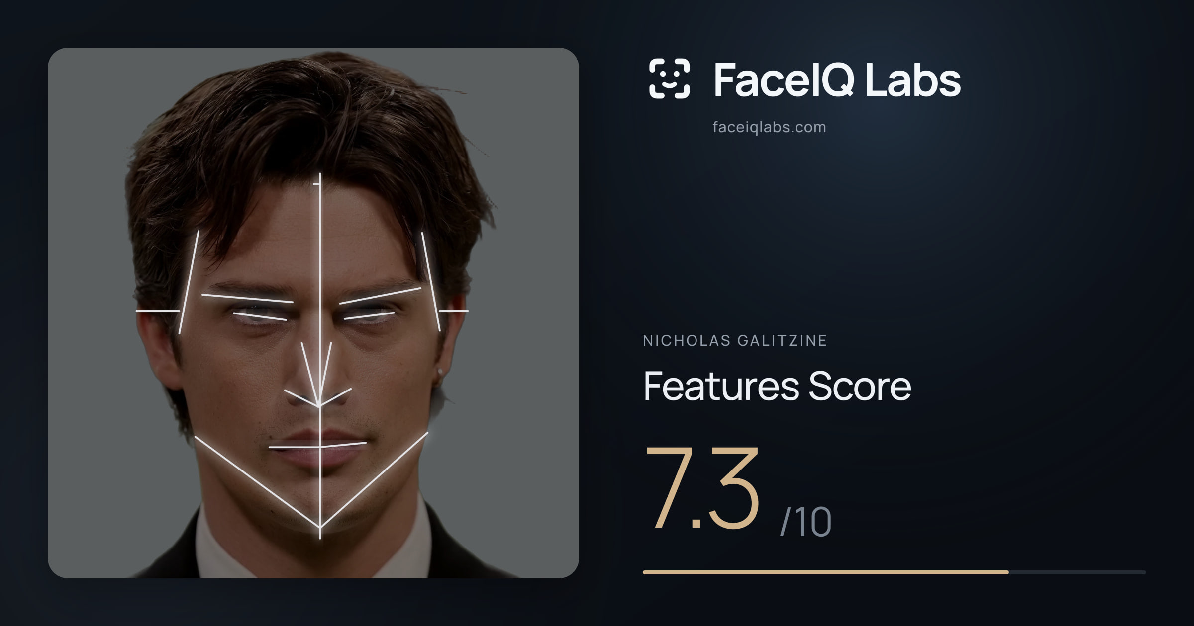 Nicholas Galitzine Features: 7.3/10, with each assessment drawn on the photo