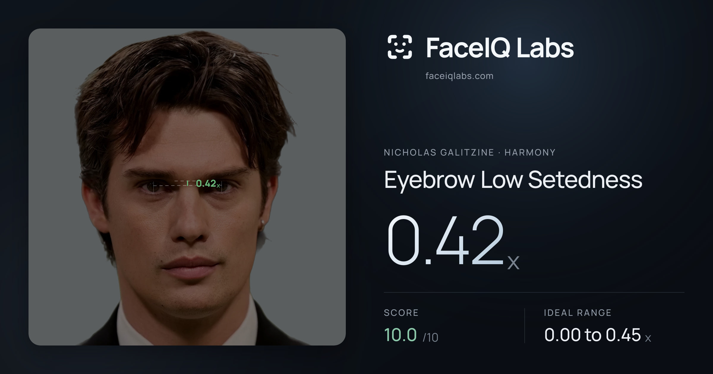 Nicholas Galitzine Eyebrow Low Setedness: 0.42x, drawn on the photo
