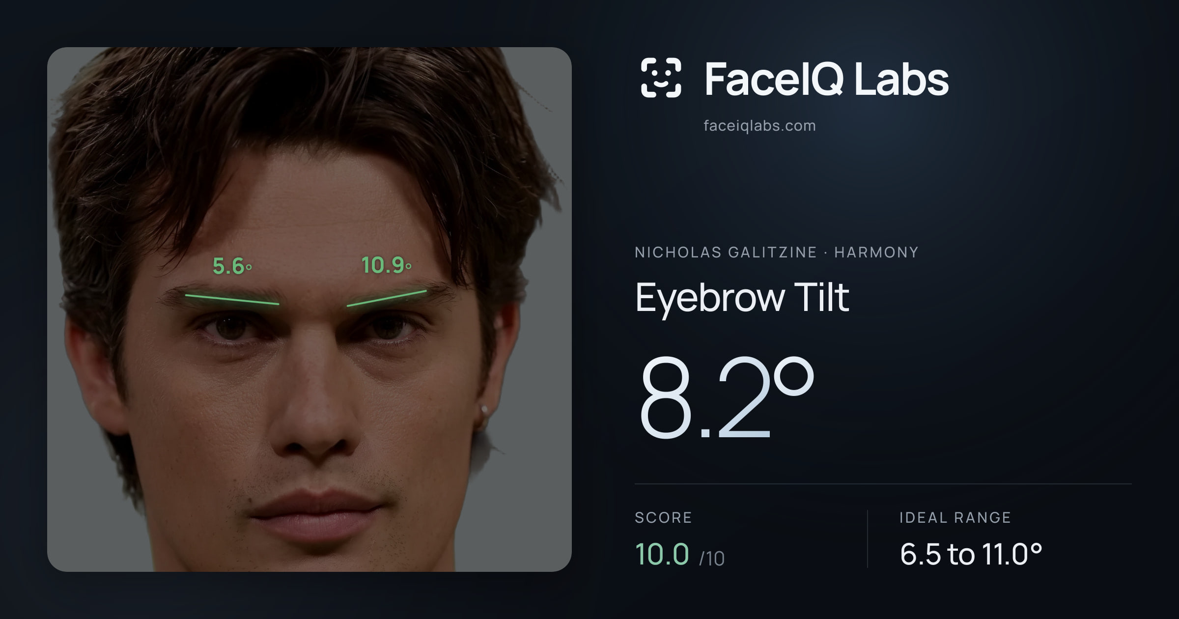 Nicholas Galitzine Eyebrow Tilt: 8.2°, drawn on the photo