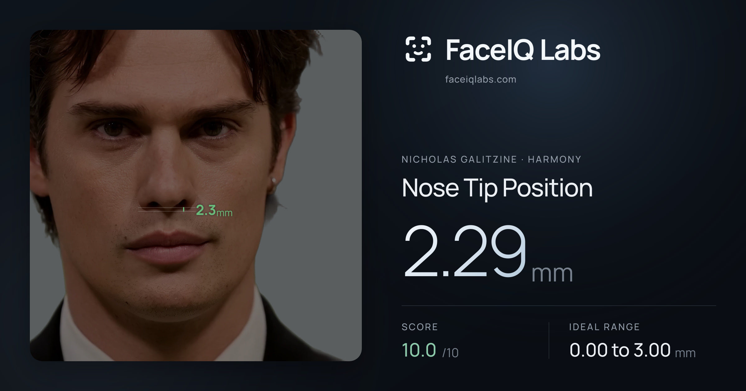 Nicholas Galitzine Nose Tip Position: 2.29mm, drawn on the photo