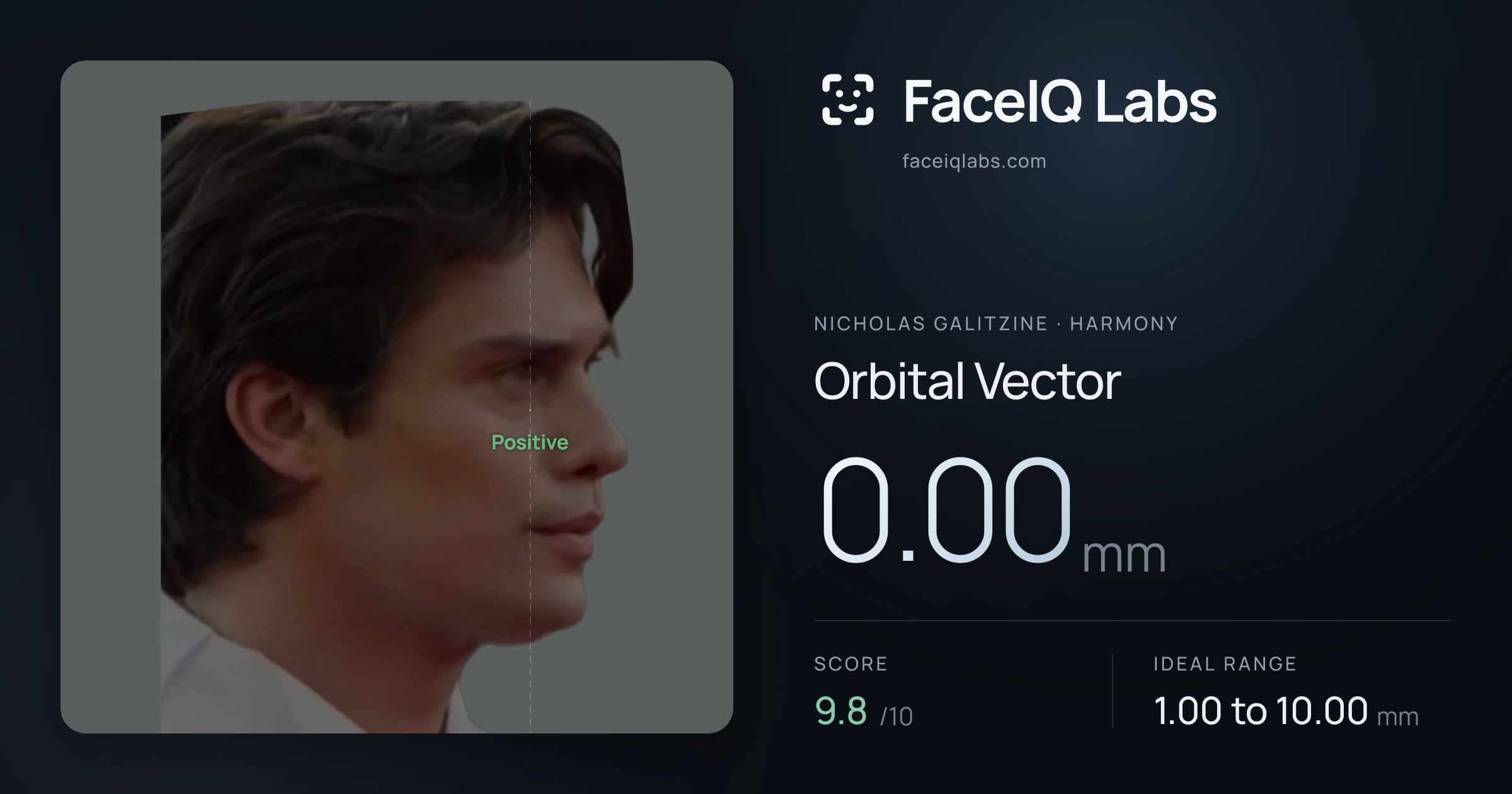 Nicholas Galitzine Orbital Vector: 0.00mm, drawn on the photo