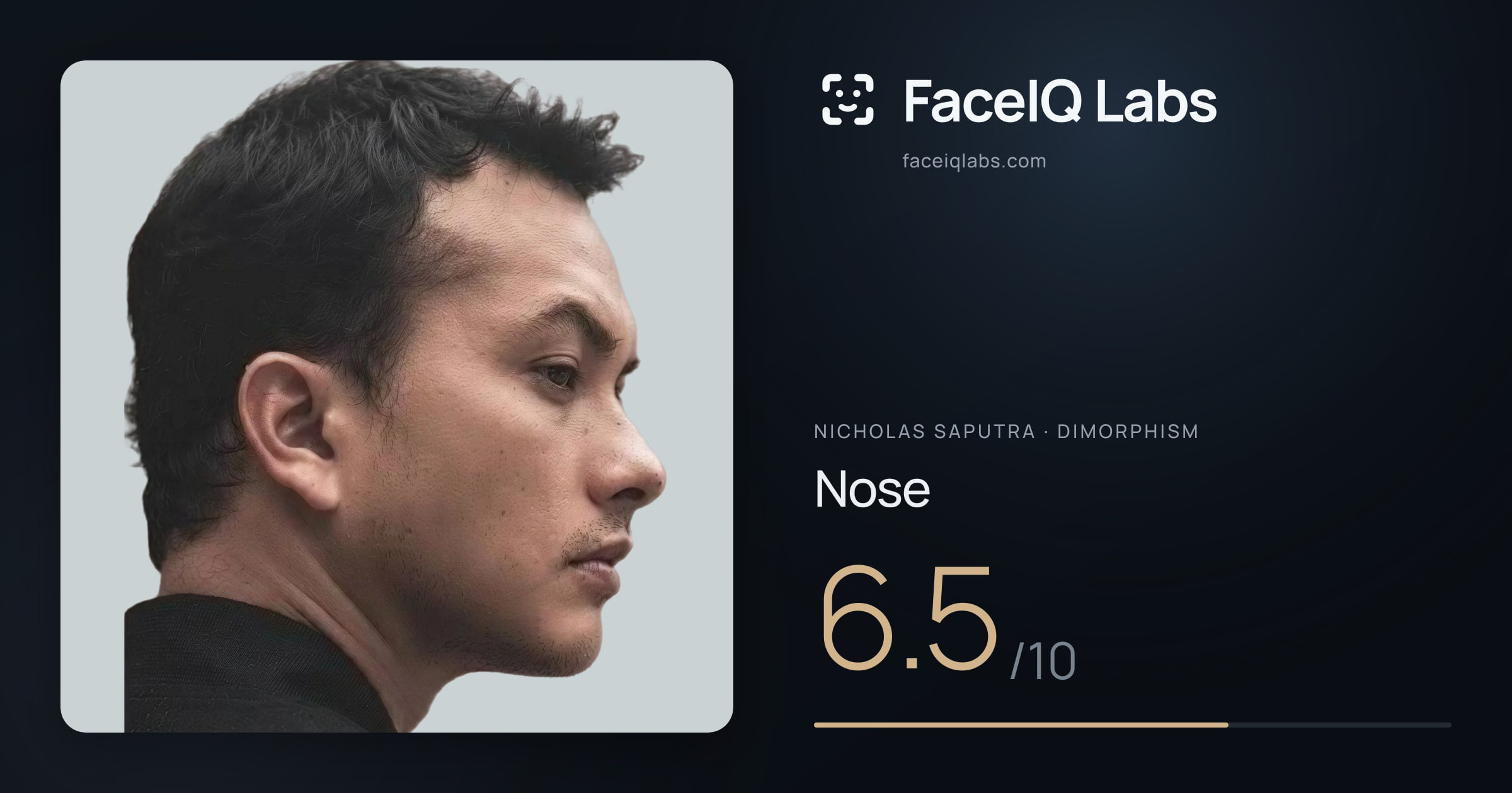 Nicholas Saputra Nose: 6.5/10, drawn on the photo