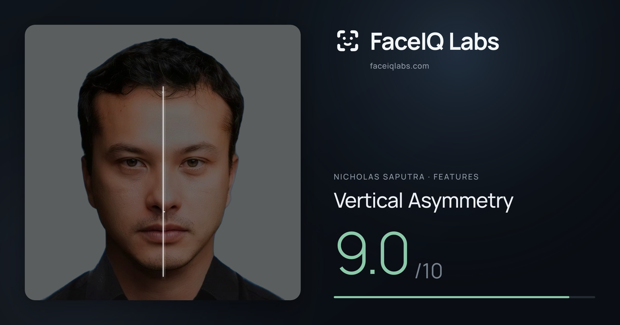 Nicholas Saputra Vertical Asymmetry: 9.0/10, drawn on the photo