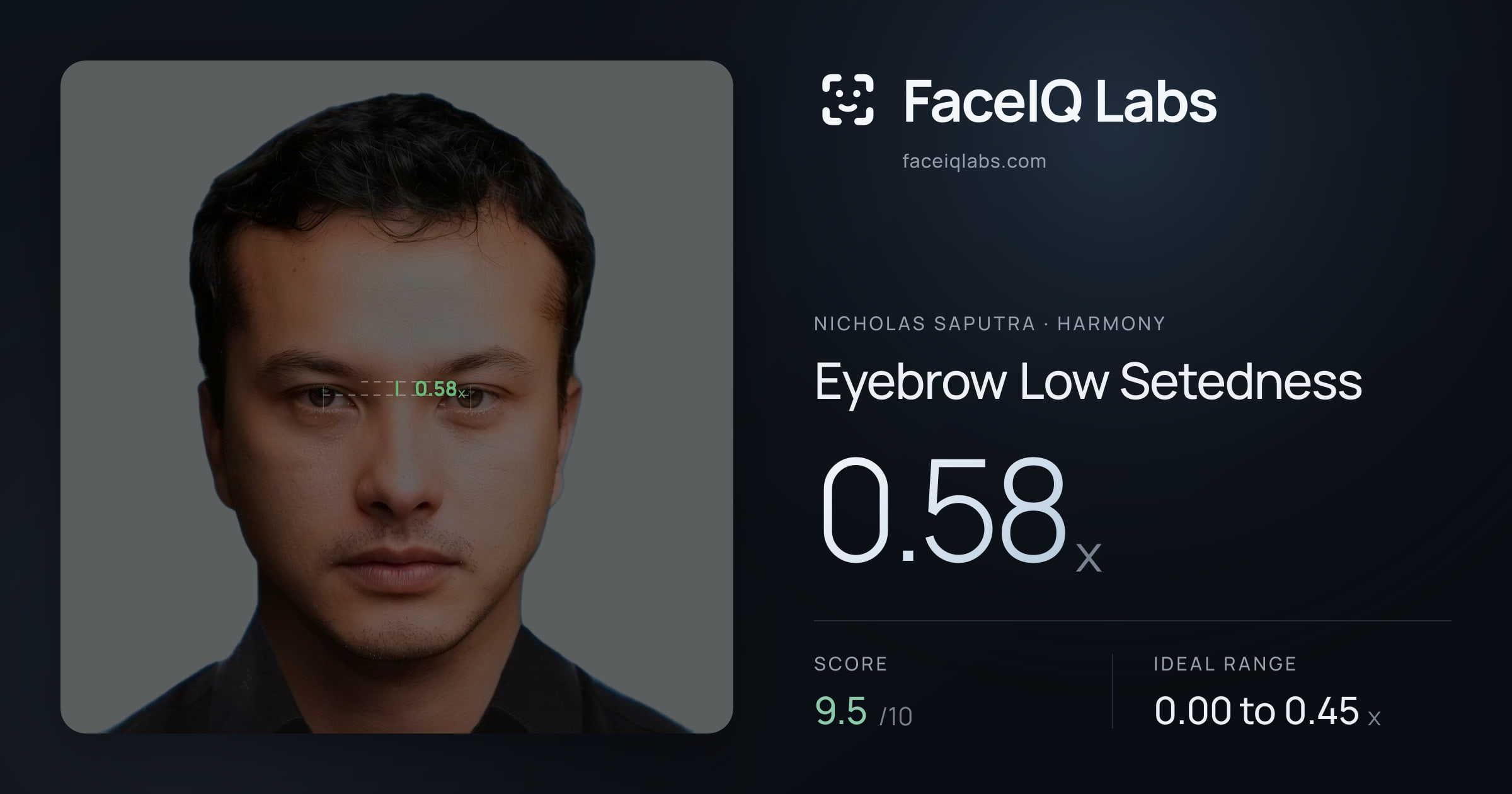 Nicholas Saputra Eyebrow Low Setedness: 0.58x, drawn on the photo