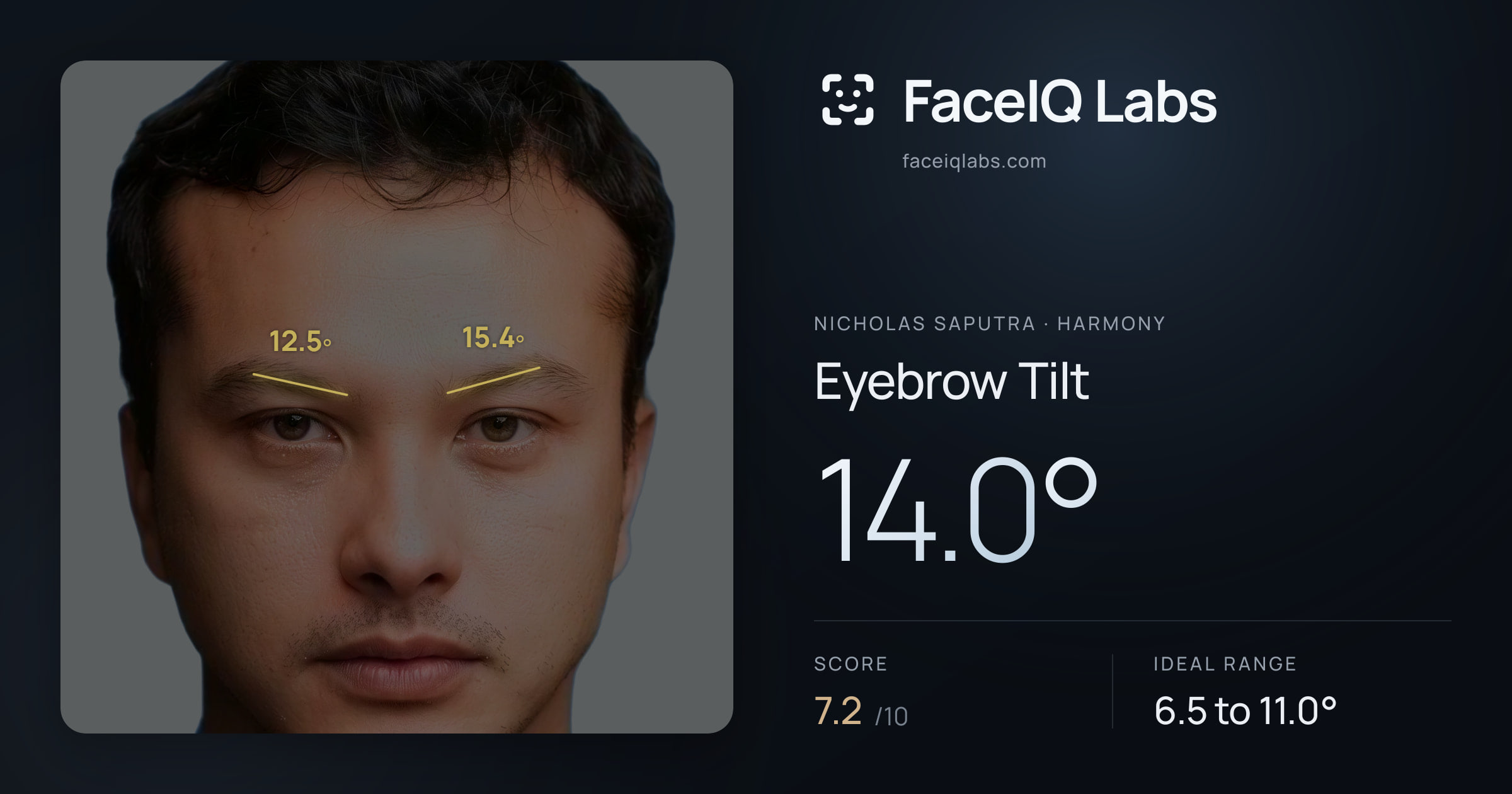 Nicholas Saputra Eyebrow Tilt: 14.0°, drawn on the photo