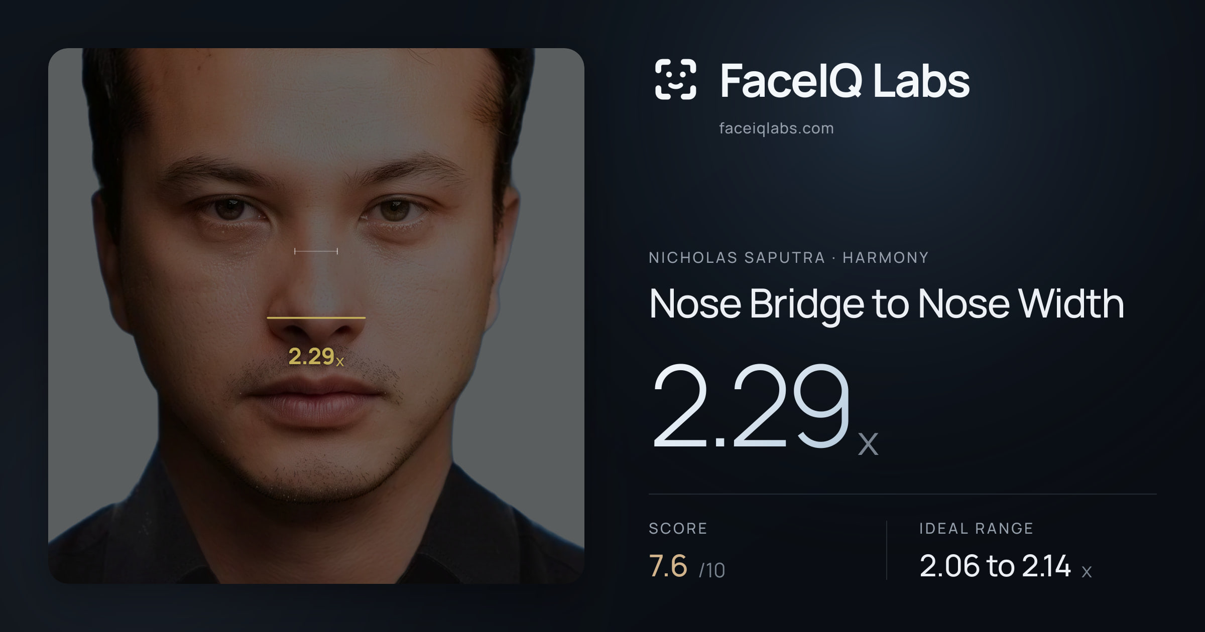 Nicholas Saputra Nose Bridge to Nose Width: 2.29x, drawn on the photo