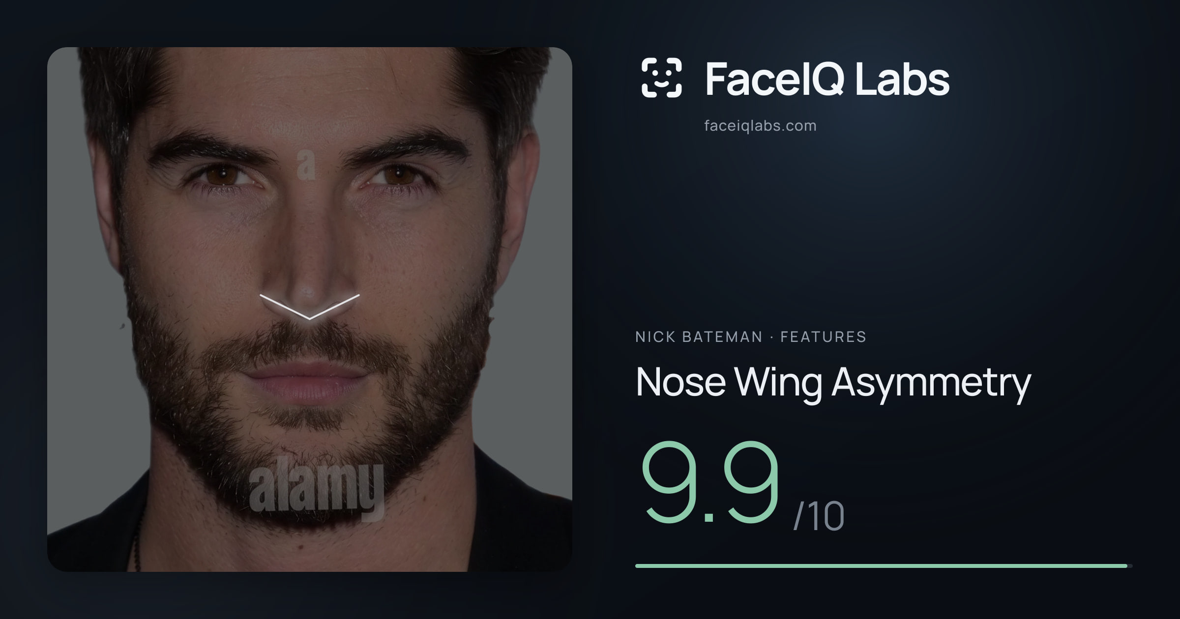 Nick Bateman Nose Wing Asymmetry: 9.9/10, drawn on the photo
