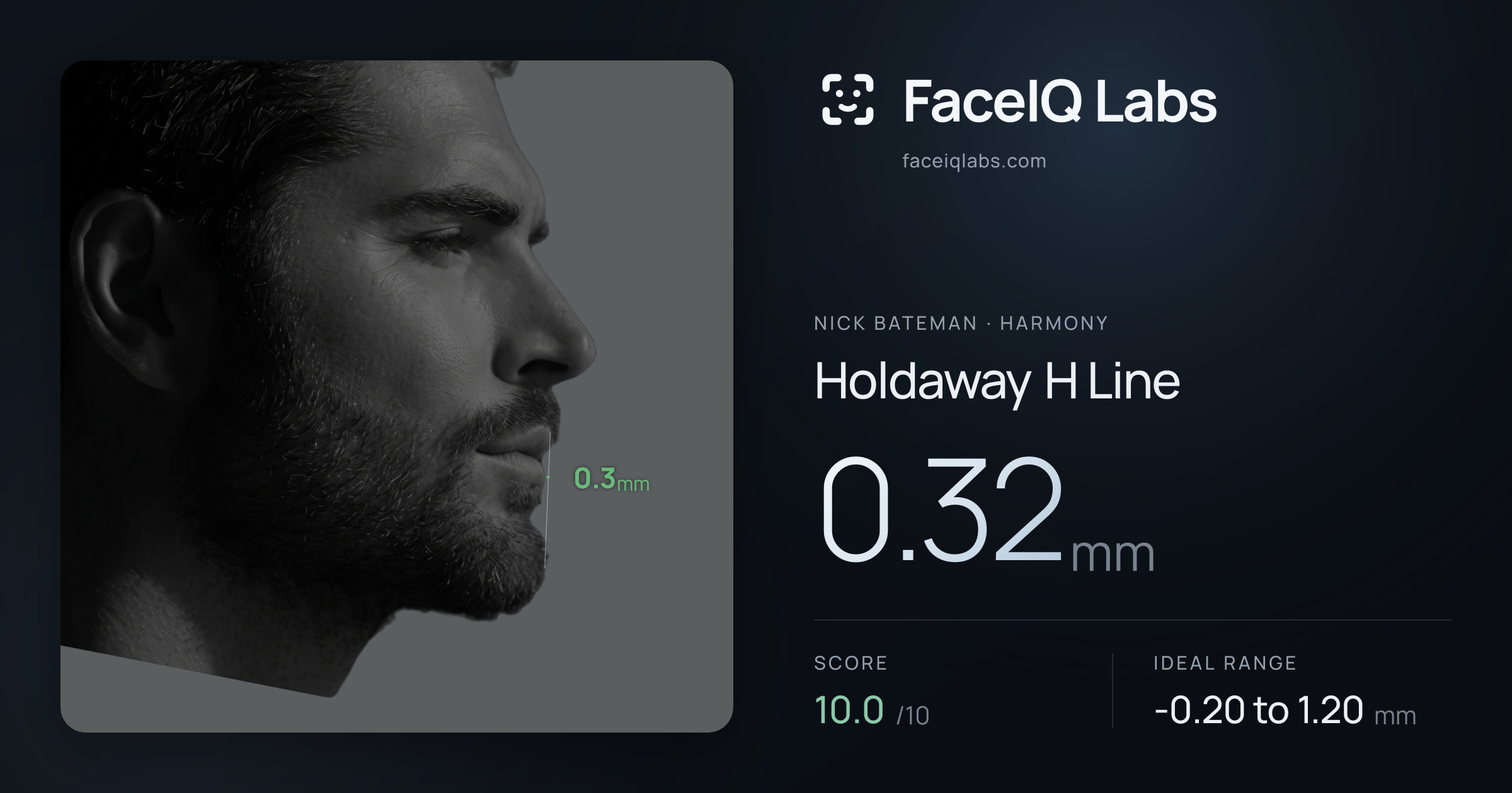 Nick Bateman Holdaway H Line: 0.32mm, drawn on the photo