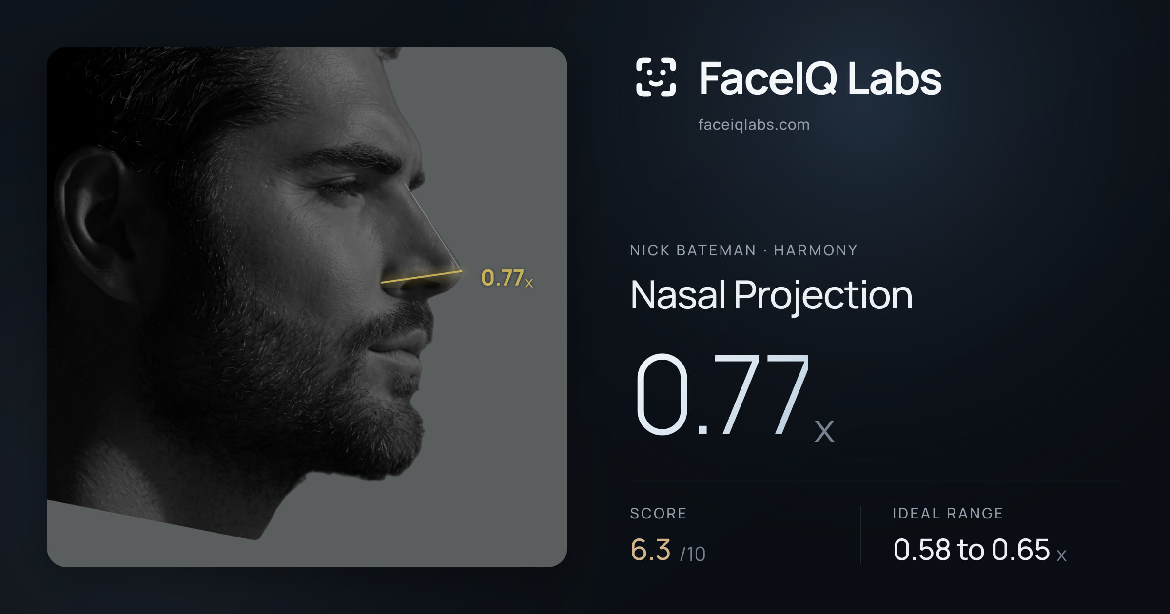 Nick Bateman Nasal Projection: 0.77x, drawn on the photo