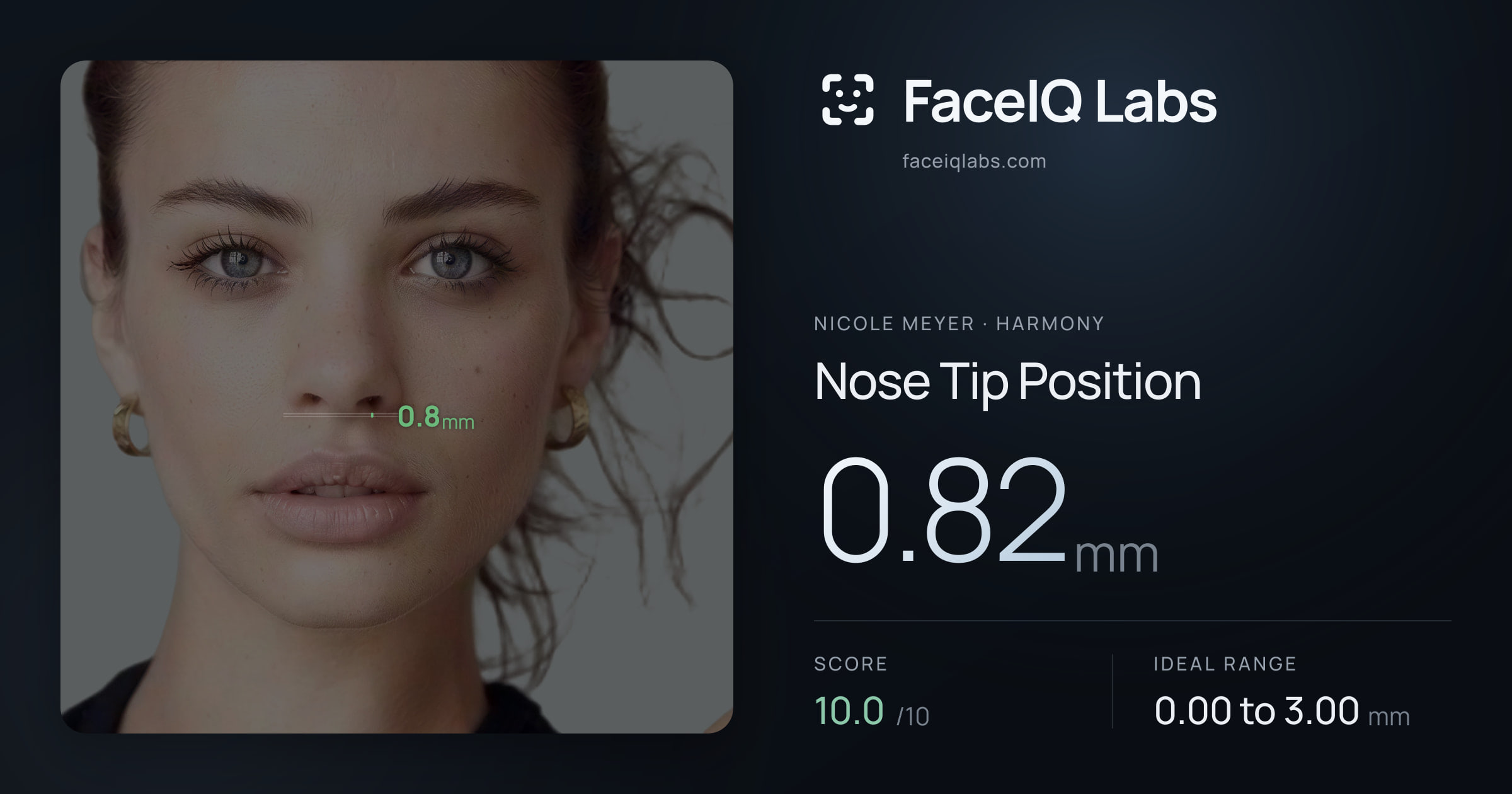 Nicole Meyer Nose Tip Position: 0.82mm, drawn on the photo