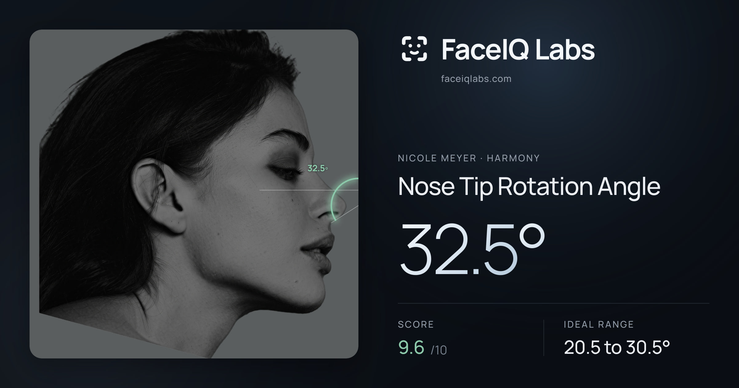 Nicole Meyer Nose Tip Rotation Angle: 32.5°, drawn on the photo