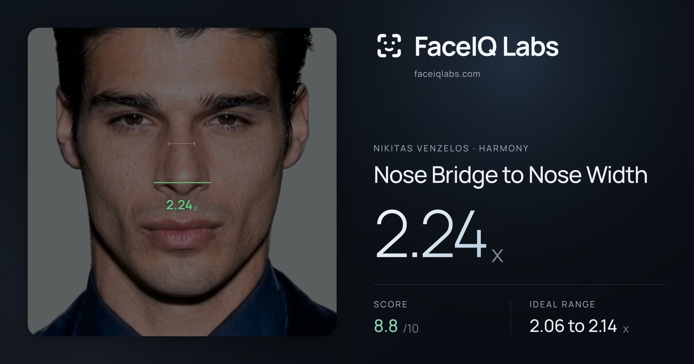 Nikitas Venzelos Nose Bridge to Nose Width: 2.24x, drawn on the photo