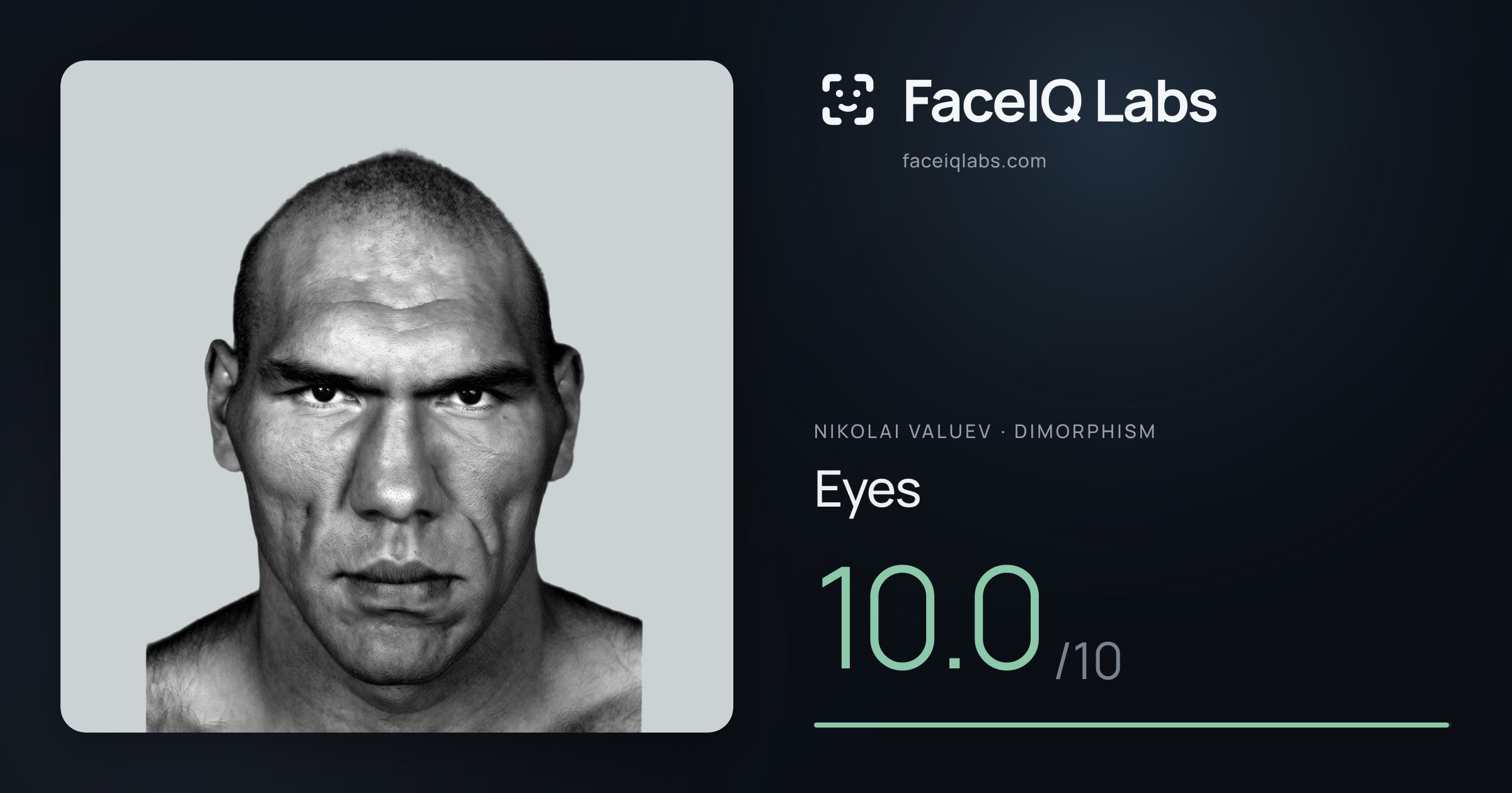Nikolai Valuev Eyes: 10.0/10, drawn on the photo