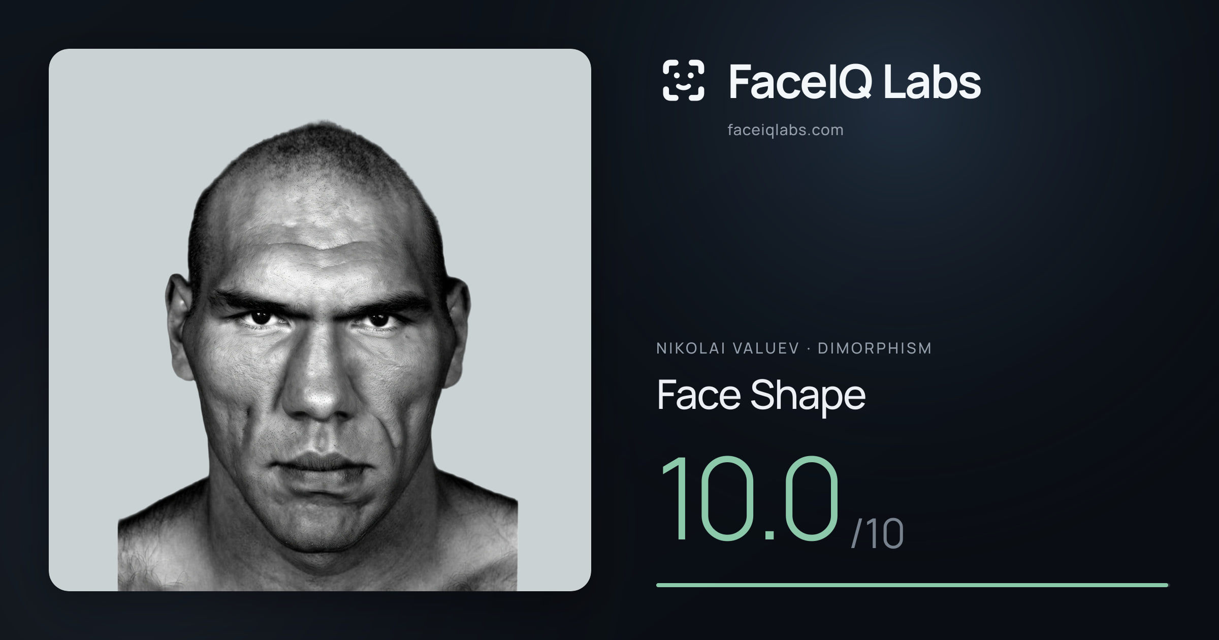Nikolai Valuev Face Shape: 10.0/10, drawn on the photo