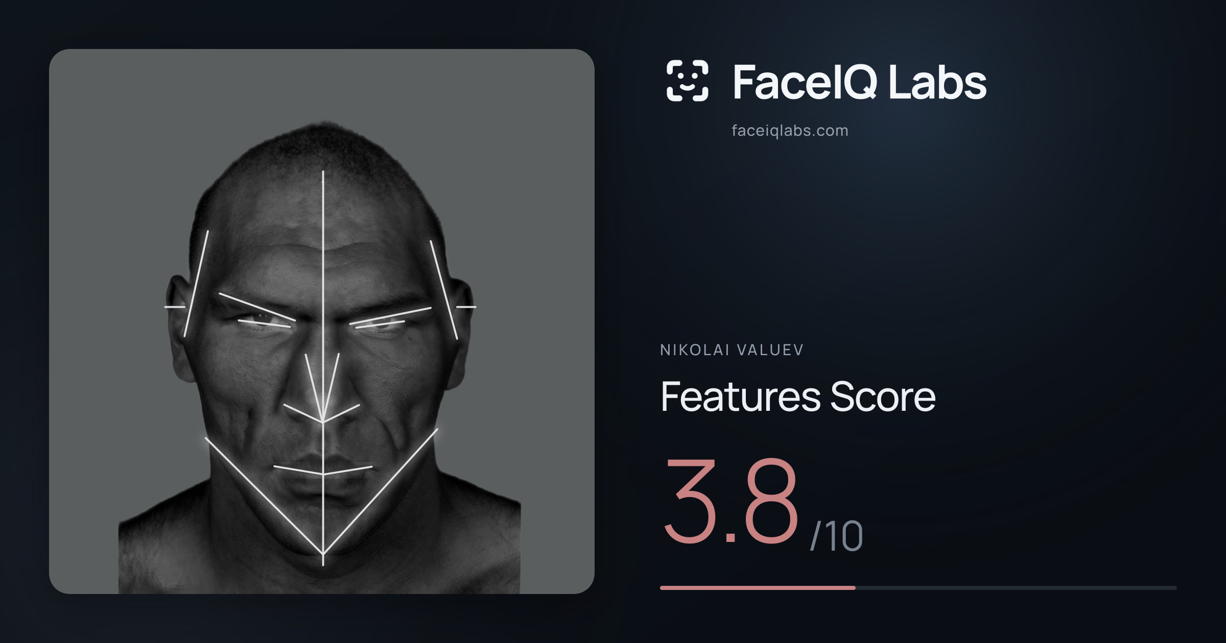 Nikolai Valuev Features: 3.8/10, with each assessment drawn on the photo