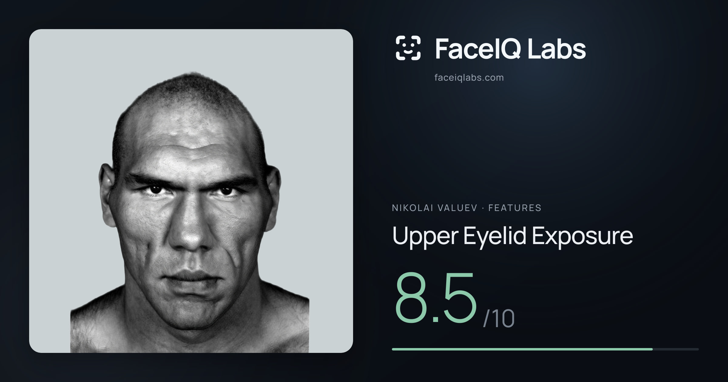 Nikolai Valuev Upper Eyelid Exposure: 8.5/10, drawn on the photo