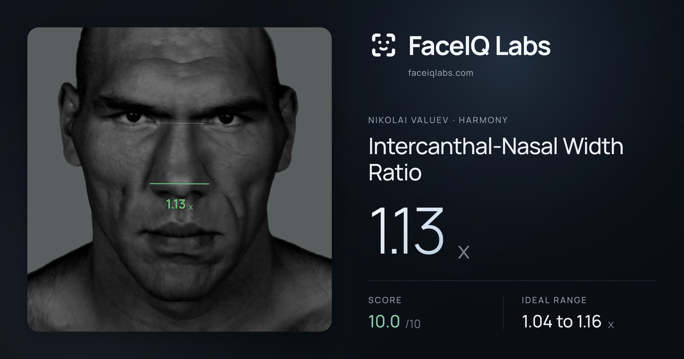 Nikolai Valuev Intercanthal-Nasal Width Ratio: 1.13x, drawn on the photo